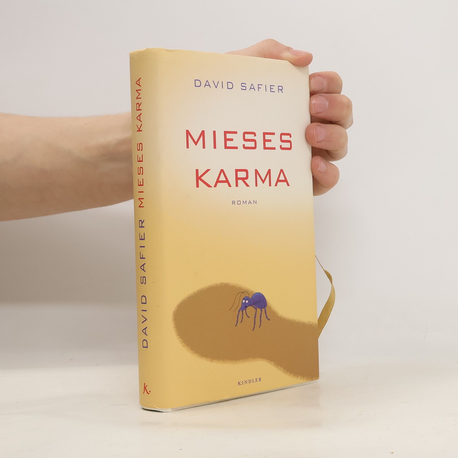 David Safier Mieses Karma
