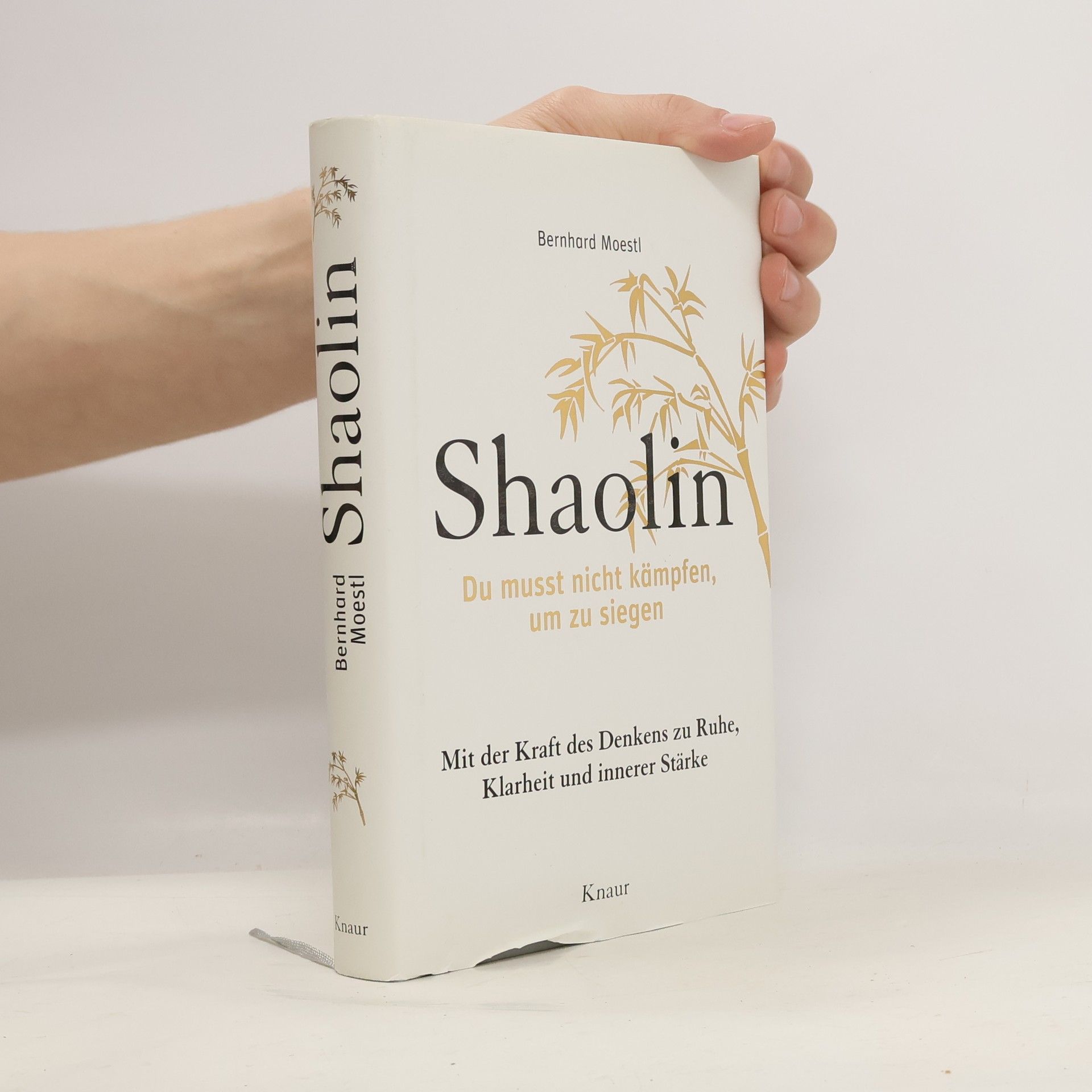 Autorenkollektiv Shaolin