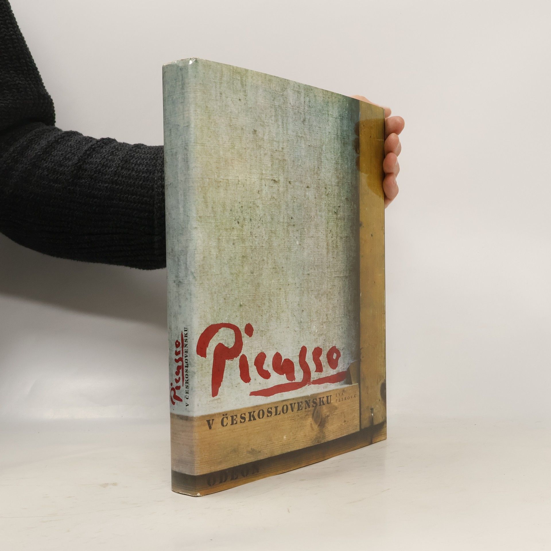 Eva Petrová Picasso v Československu