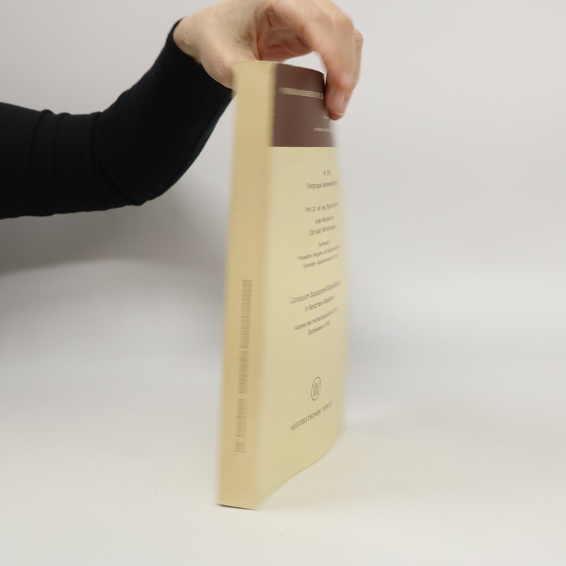 Raymund Krisam Curriculum Sozialarbeit/Sozialpädagogik in Nordrhein-Westfalen