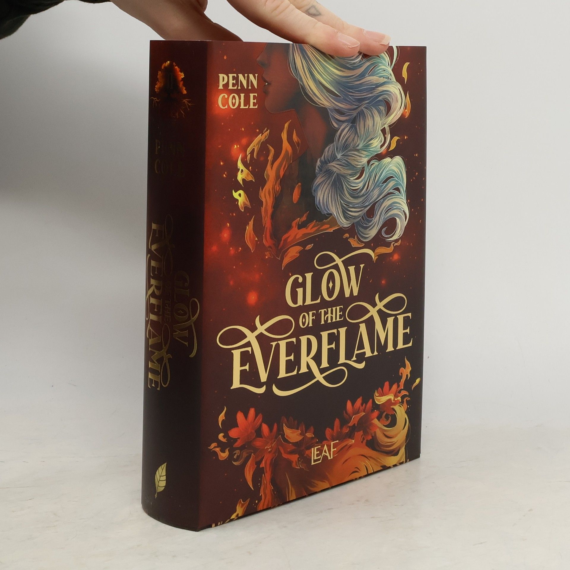 Glow of the Everflame / Kindred´s Curse Saga Bd.2