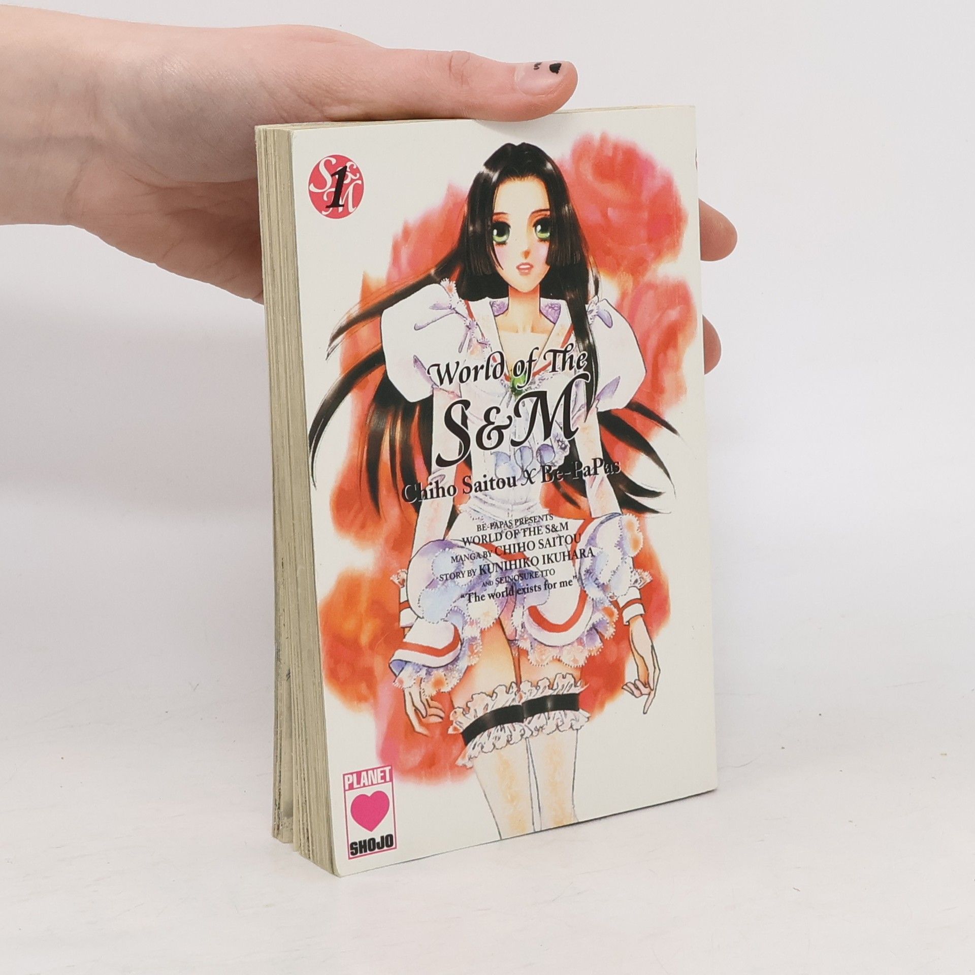 Autorenkollektiv World of the S & M