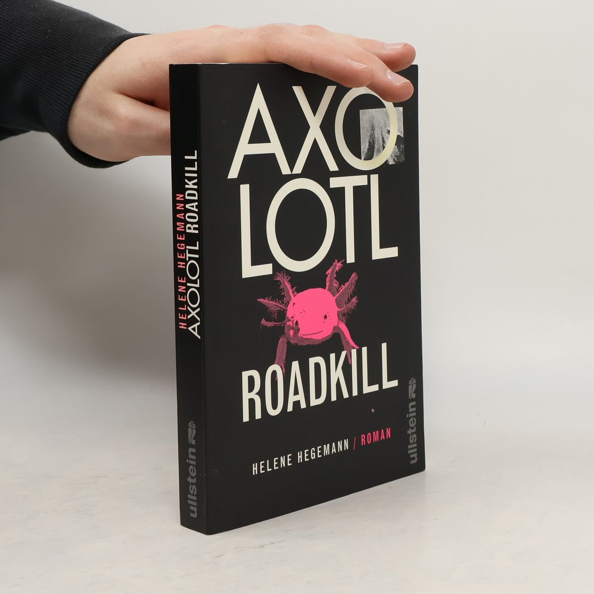 Helene Hegemann Axolotl Roadkill : Roman