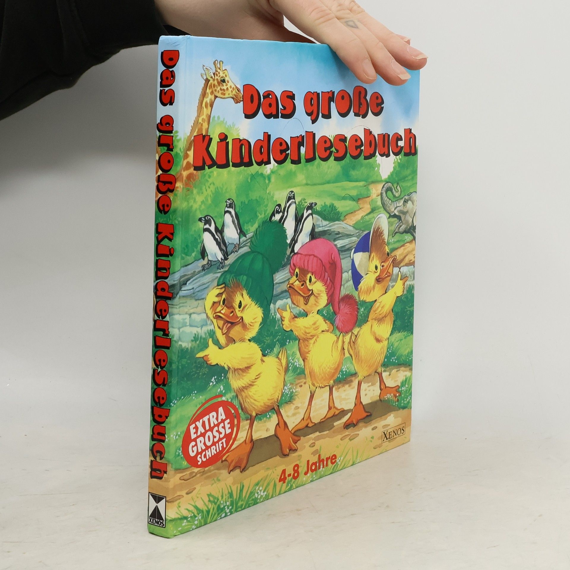 Kolektiv autorů Das große Kinderlesebuch