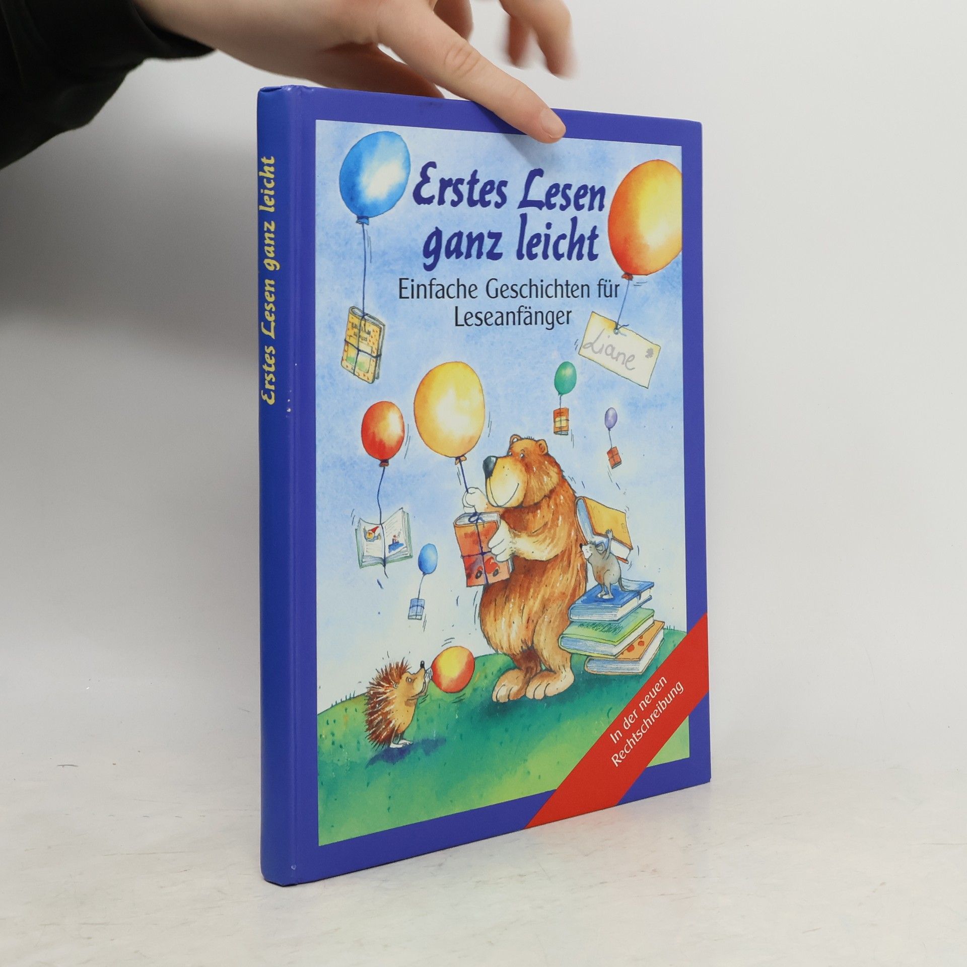 Kolektiv autorů Erstes Lesen, ganz leicht