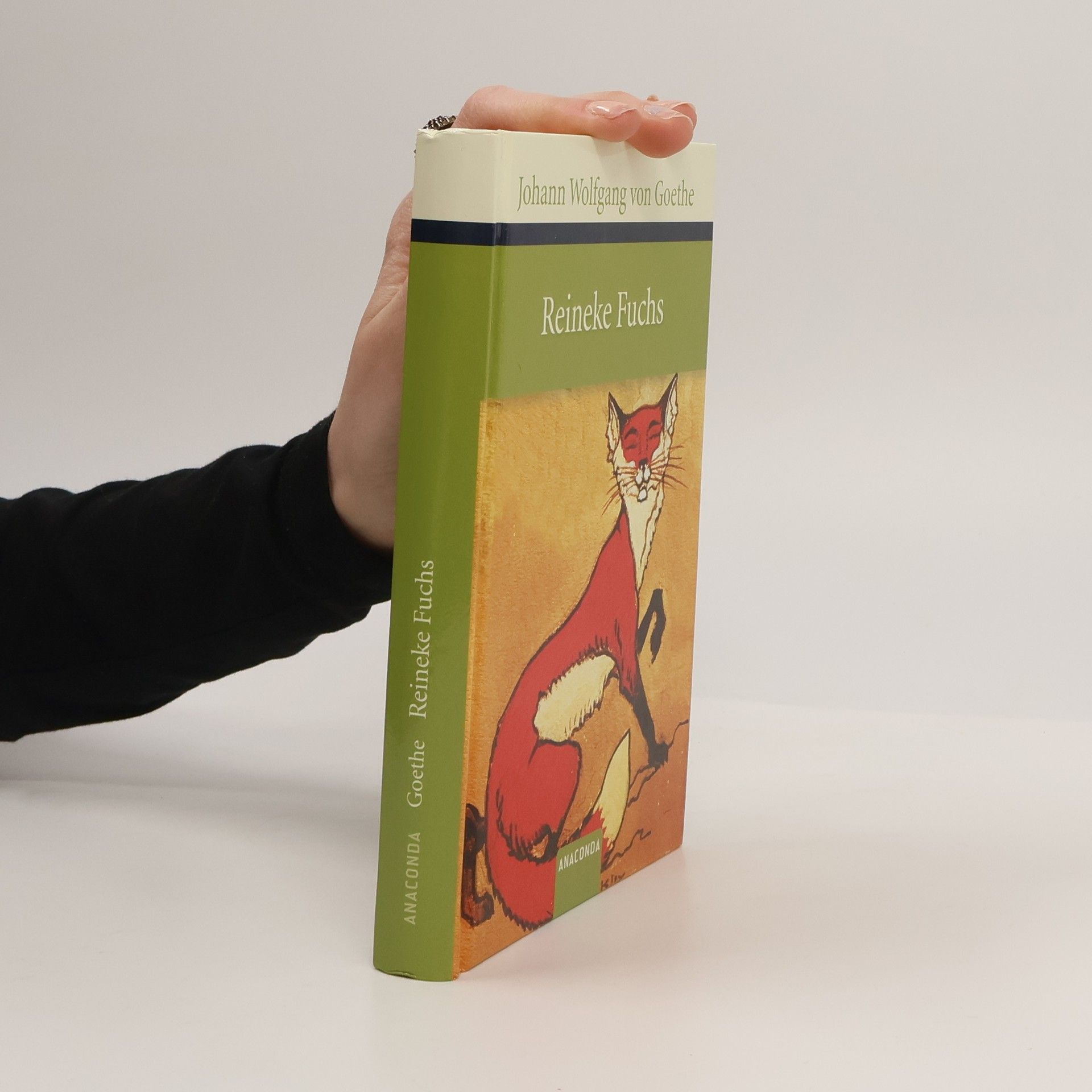 Johann Wolfgang von Goethe Reineke Fuchs