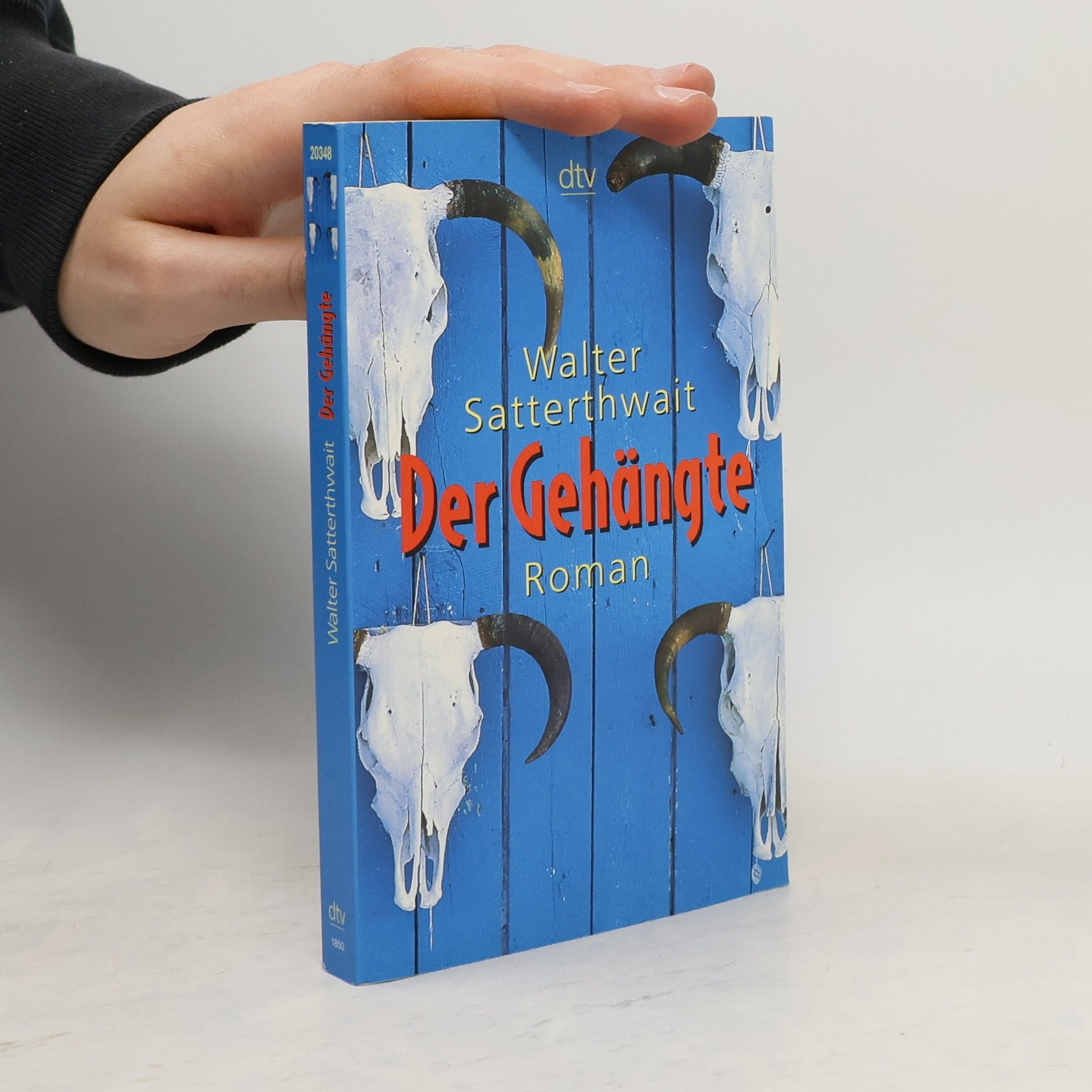 Walter Satterthwait Der Gehängte. Roman. Dtsch. v. Klaus Schomburg
