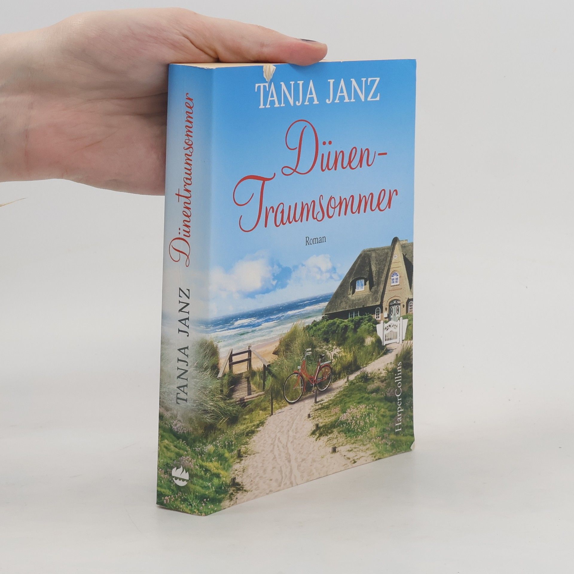 Tanja Janz Dünentraumsommer