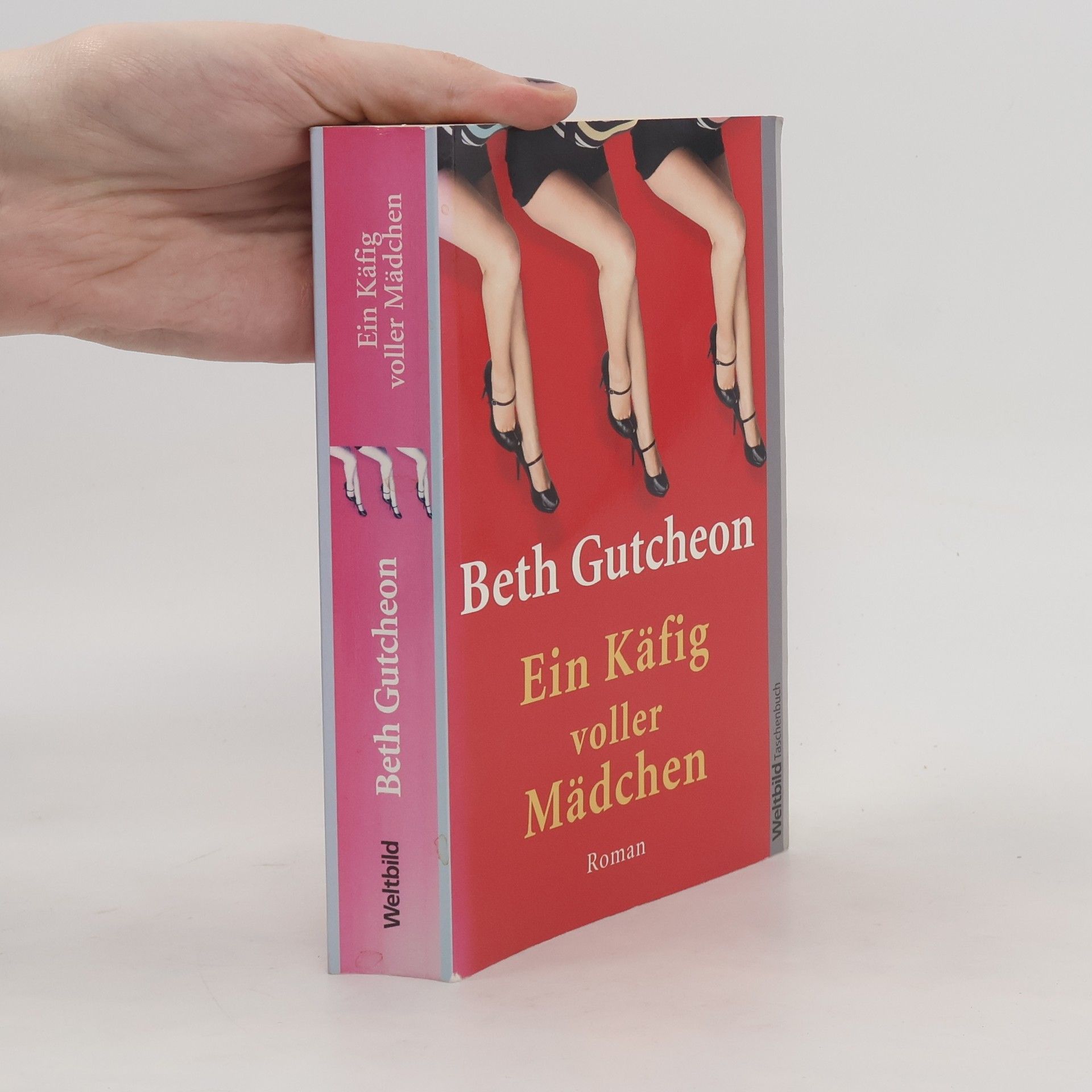 Beth Gutcheon Ein Käfig voller Mädchen