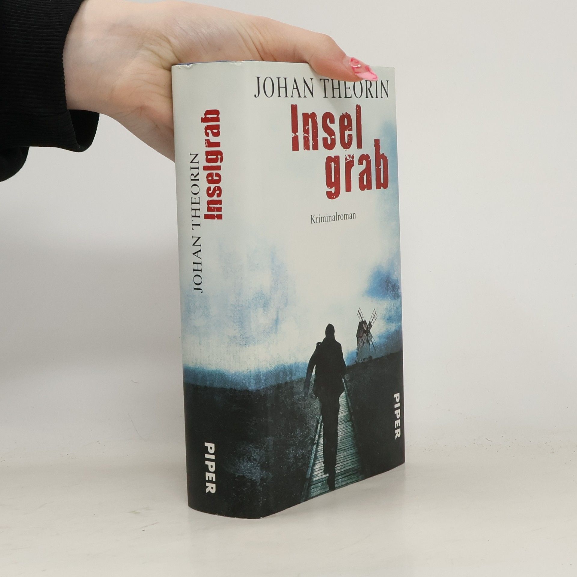 Johan Theorin Inselgrab