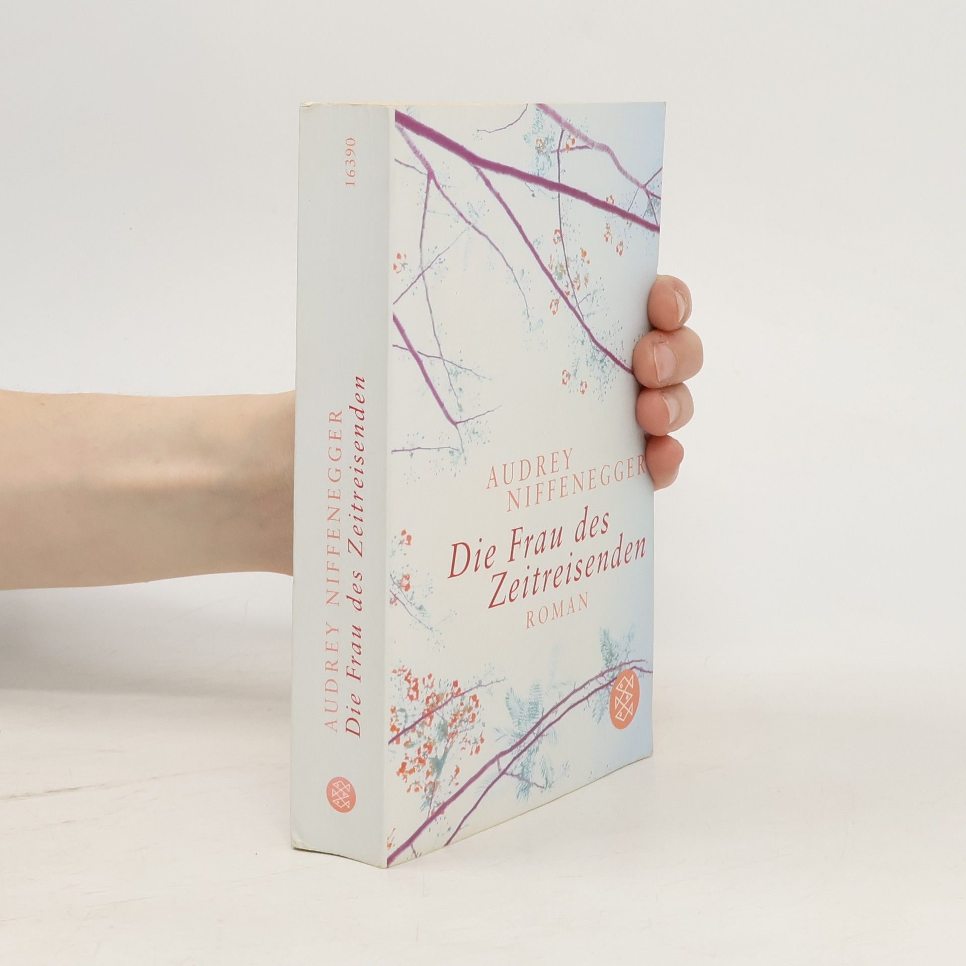 Audrey Niffenegger Die Frau des Zeitreisenden
