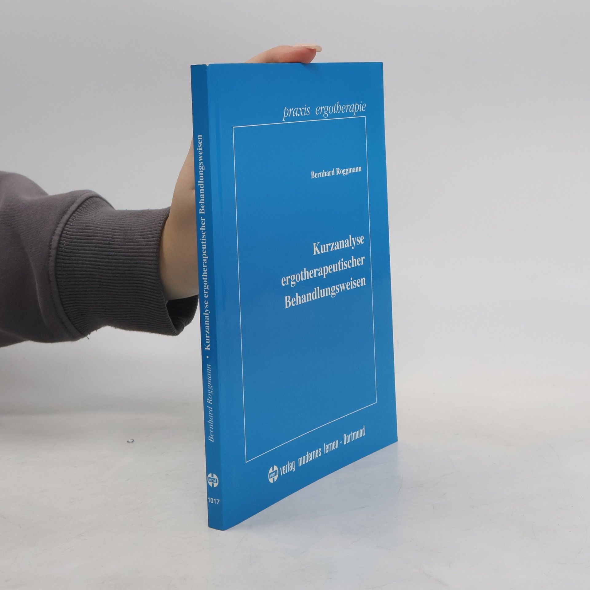 Bernhard Roggmann Kurzanalyse ergotherapeutischer Behandlungsweisen