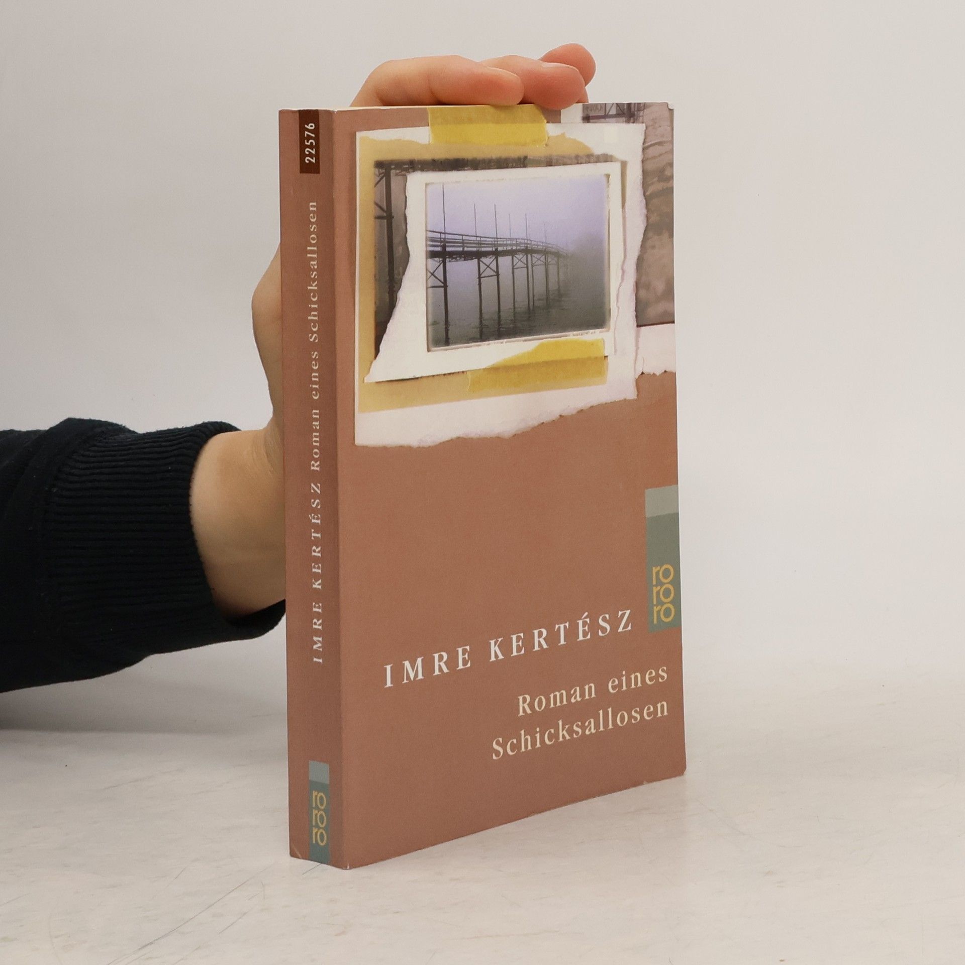 Roman eines Schicksallosen