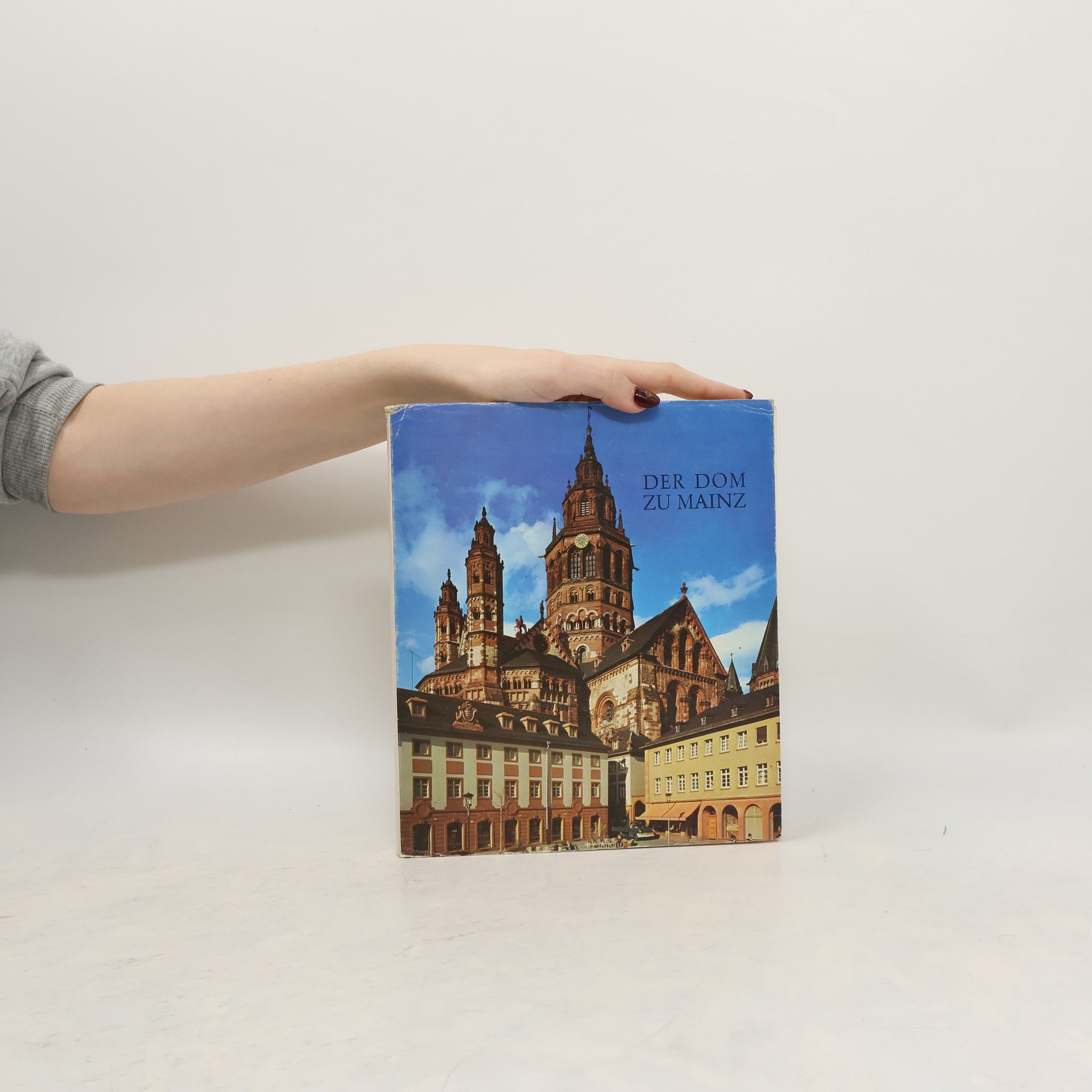 Autorenkollektiv Der Dom zu Mainz