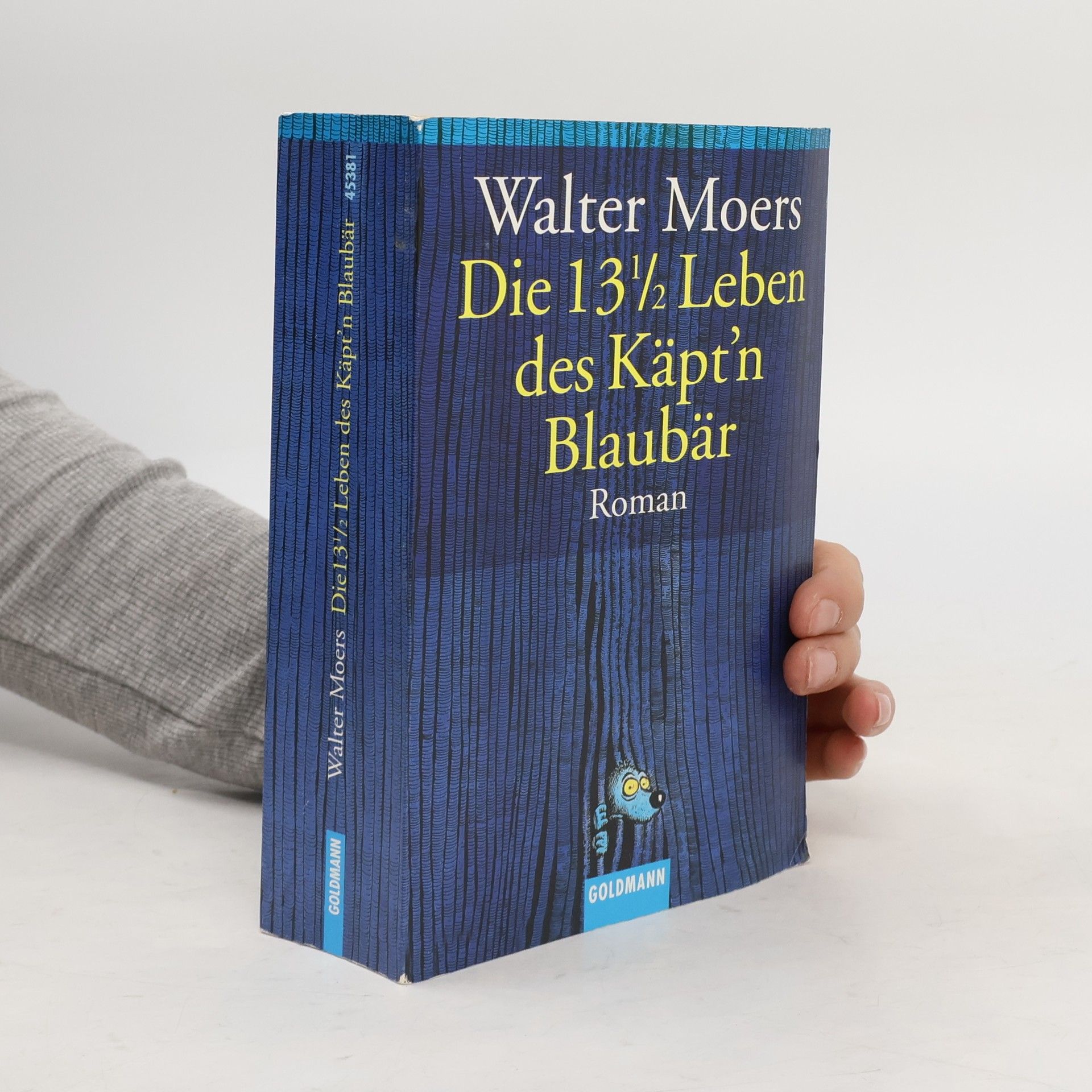 Walter Moers Die 13 1/2 Leben des Käpt'n Blaubär