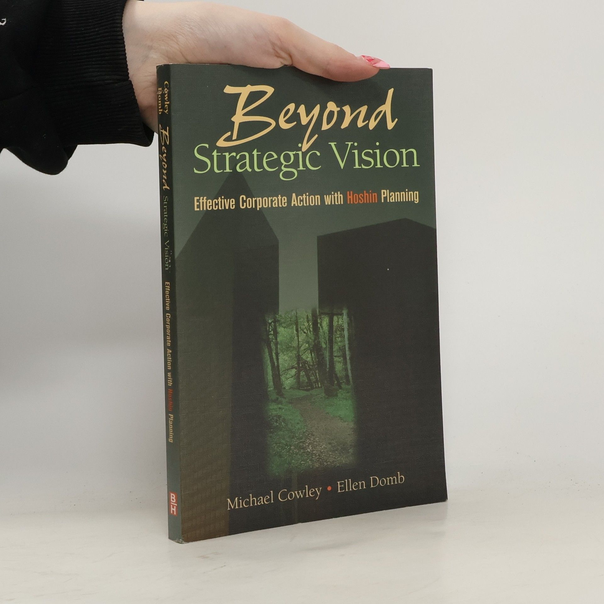 Michael Cowley Beyond Strategic Vision