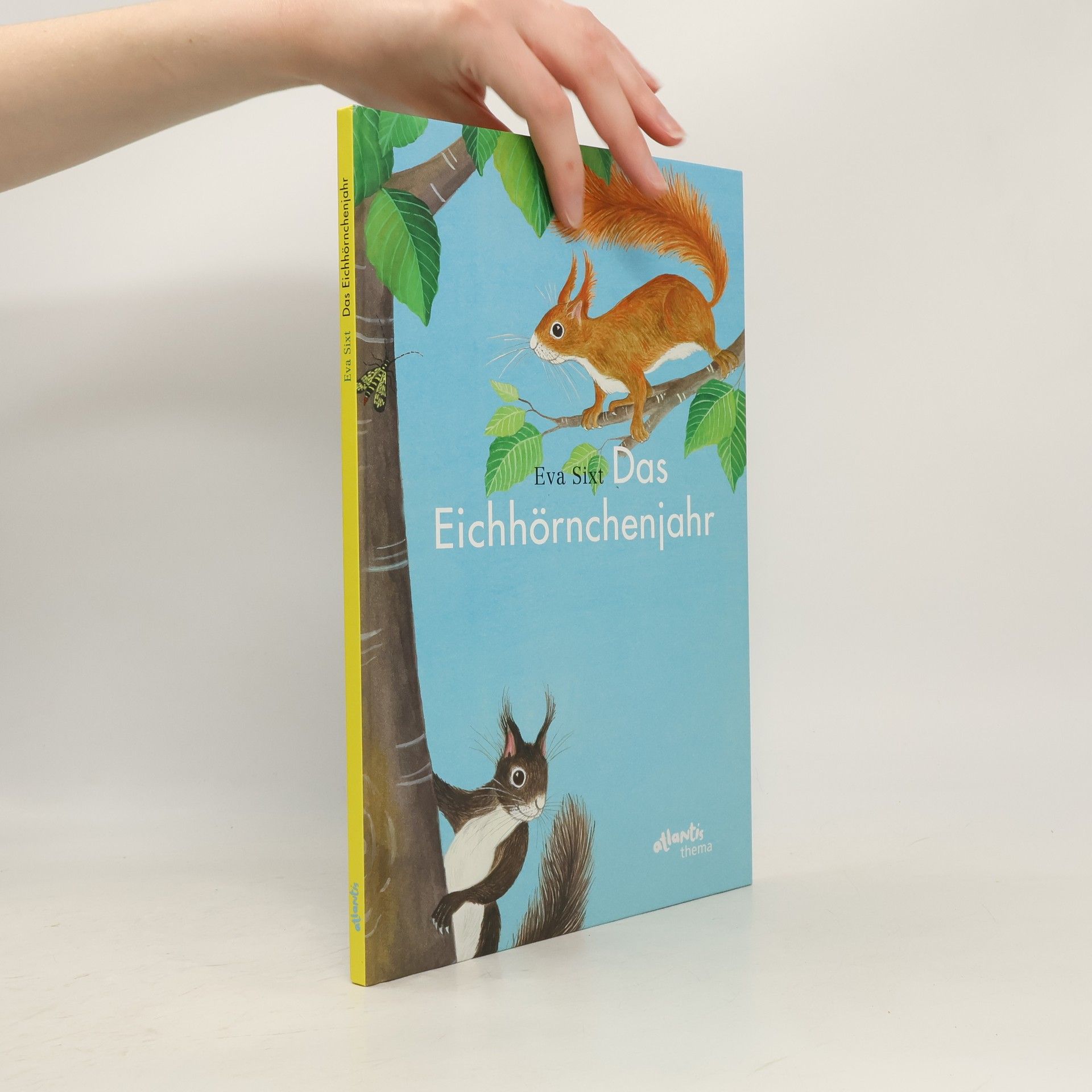 Eva Sixt Das Eichhörnchenjahr