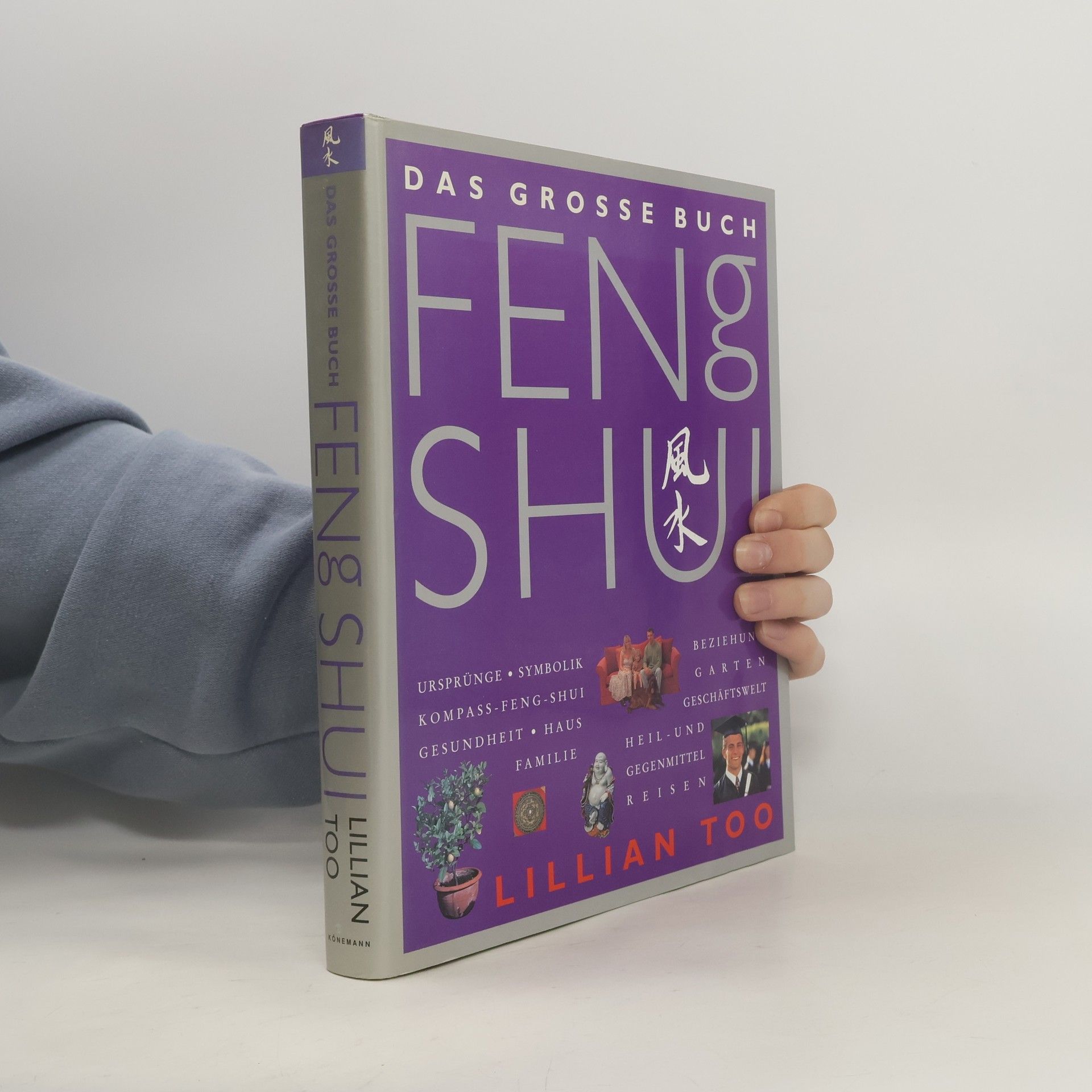 Lillian Too Das grosse Buch Feng Shui