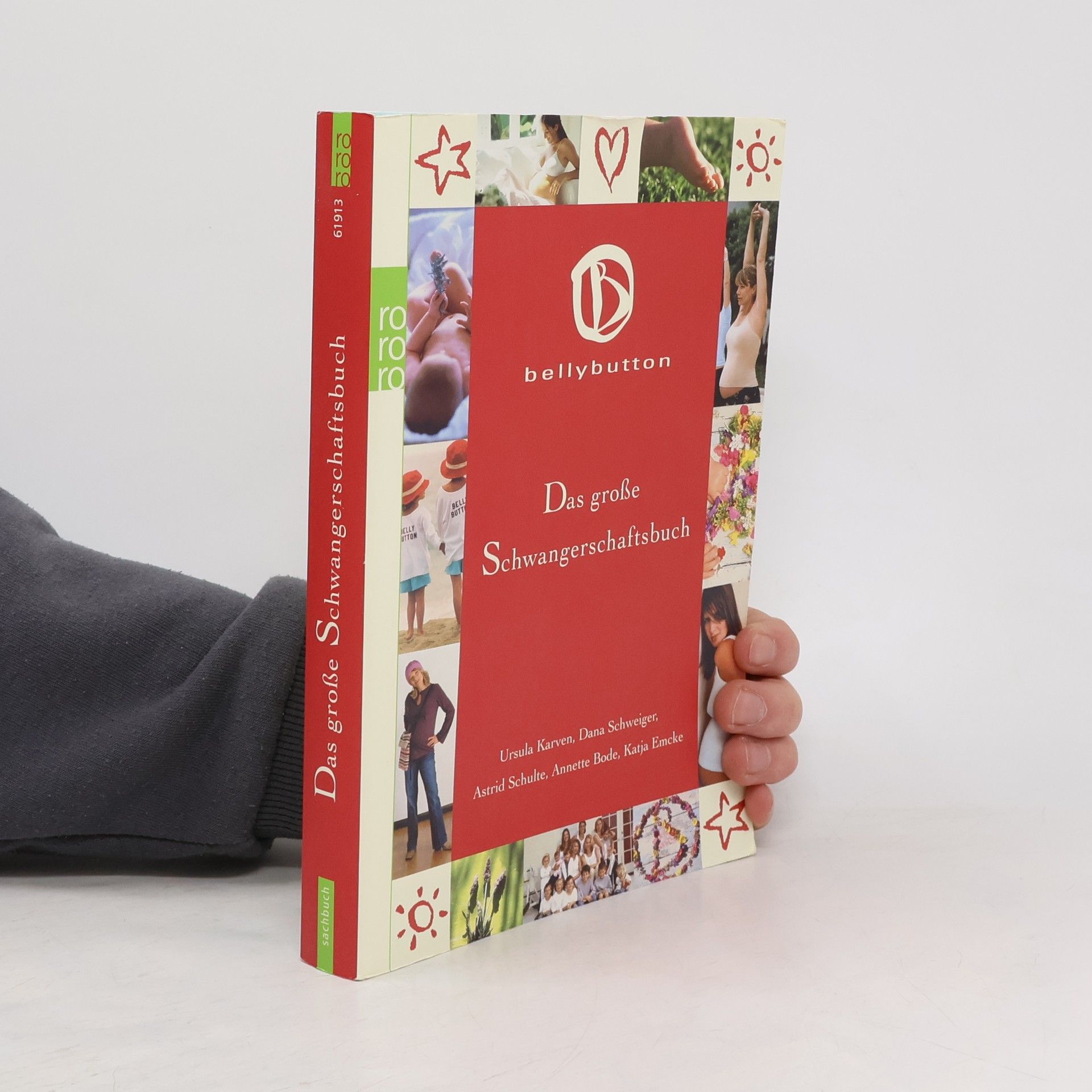 Autorenkollektiv Das große Schwangerschaftsbuch