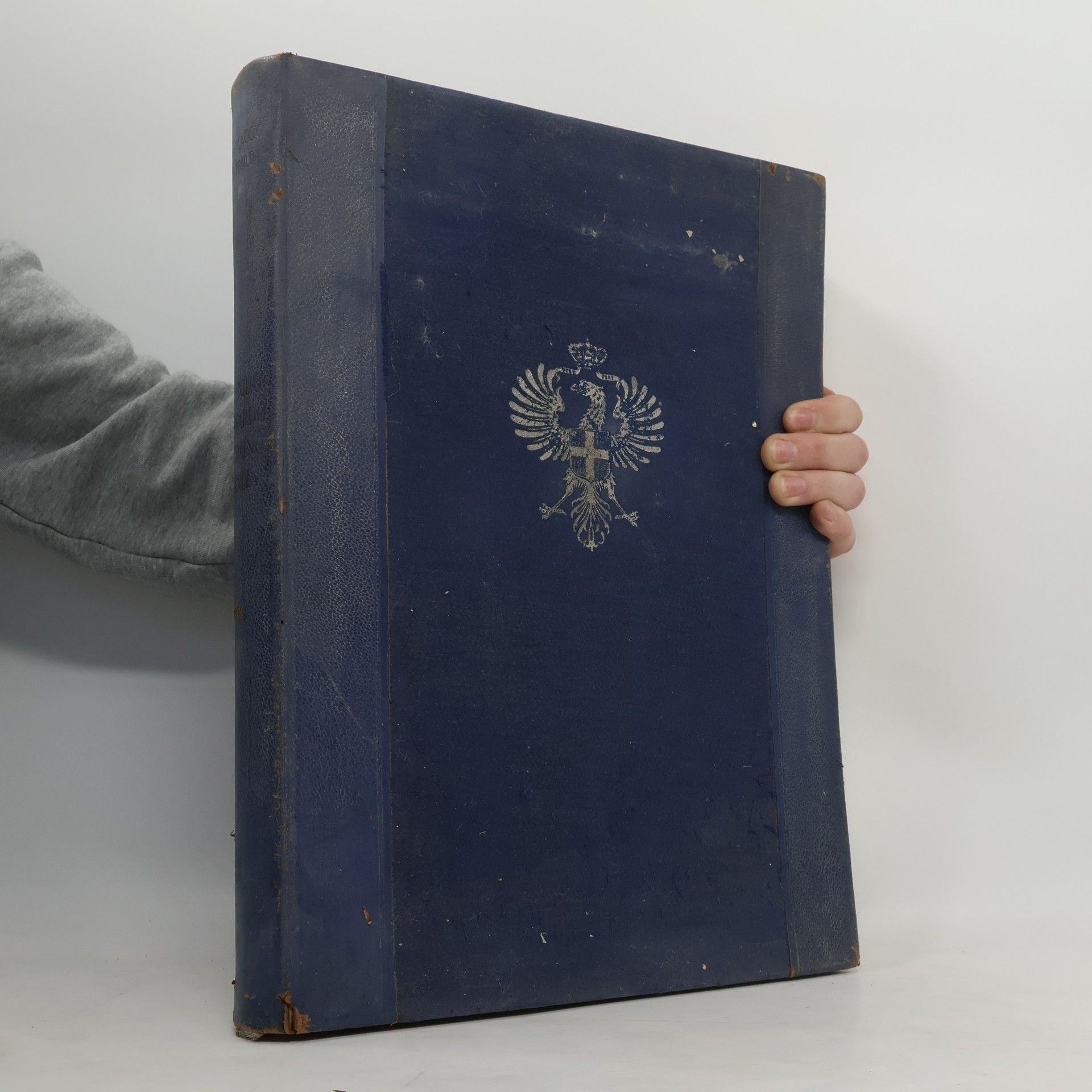 Nicola Brancaccio Dal Nido Savoiardo al Trono d'Italia