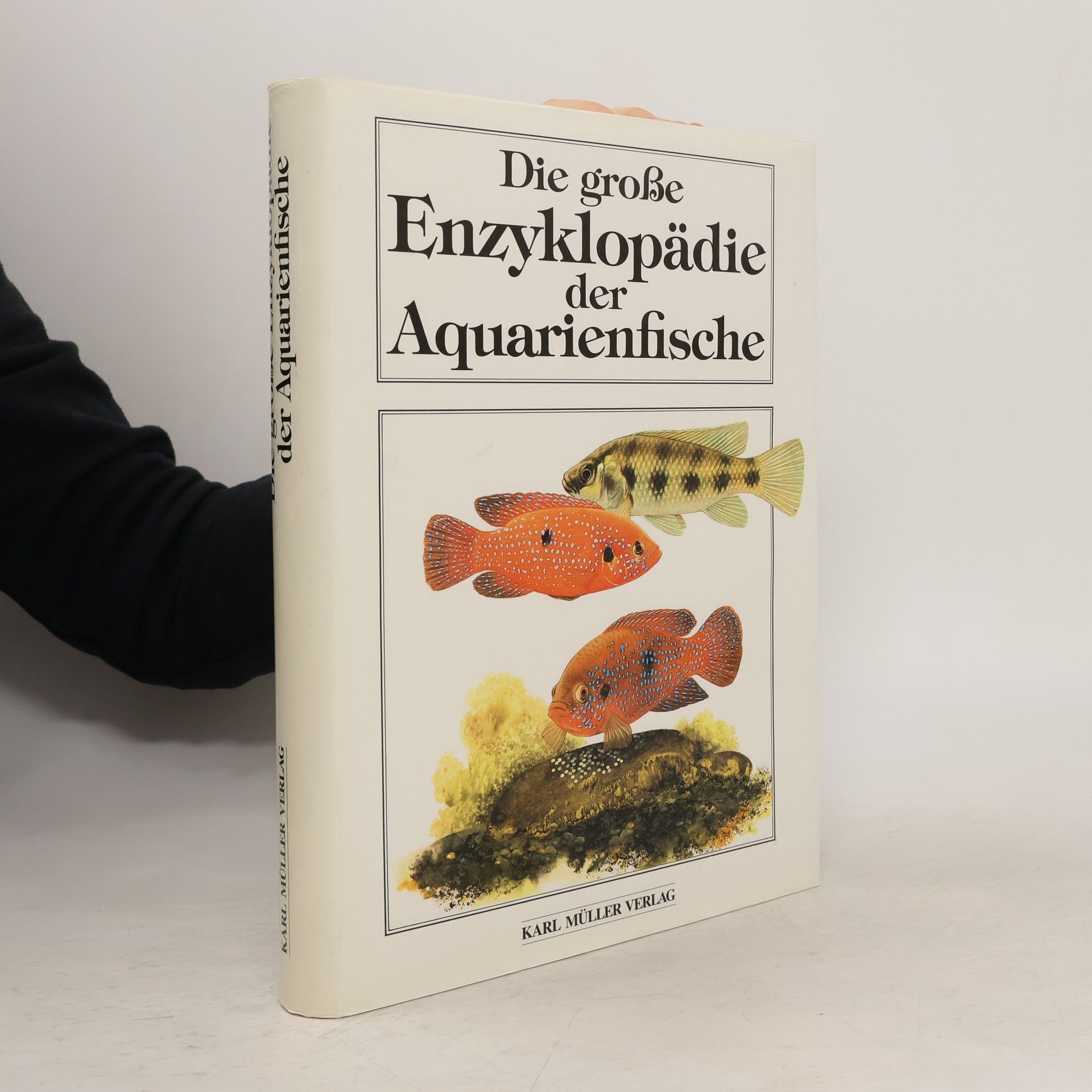 Autorenkollektiv Die große Enzyklopädie der Aquarienfische