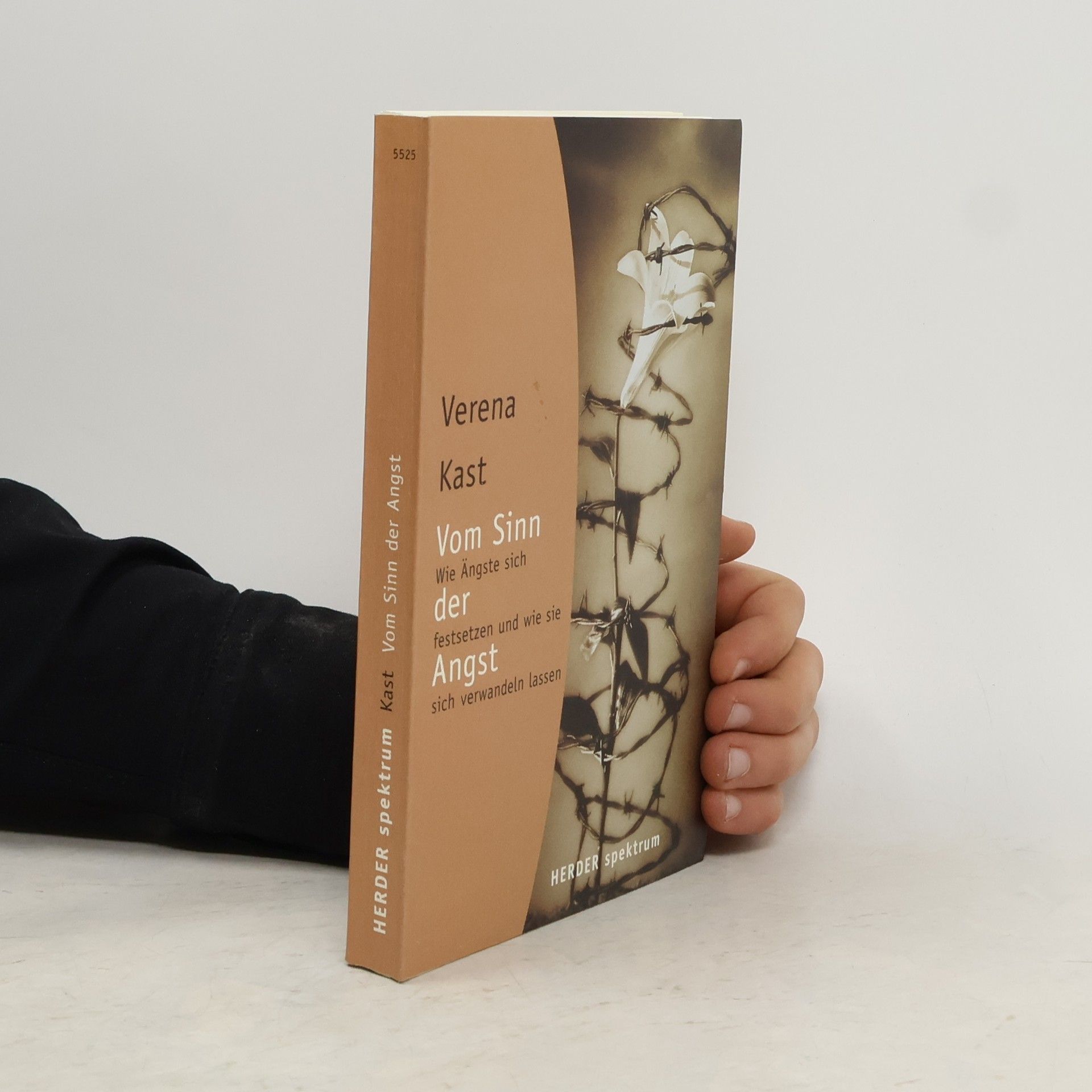 Verena Kast Vom Sinn der Angst