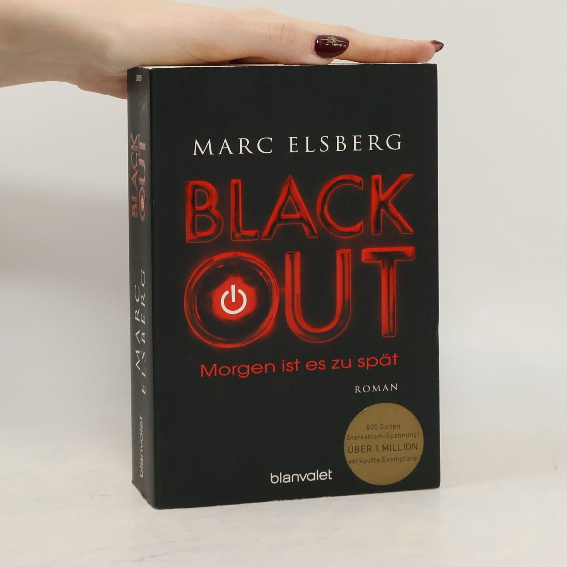 Marc Elsberg Blackout