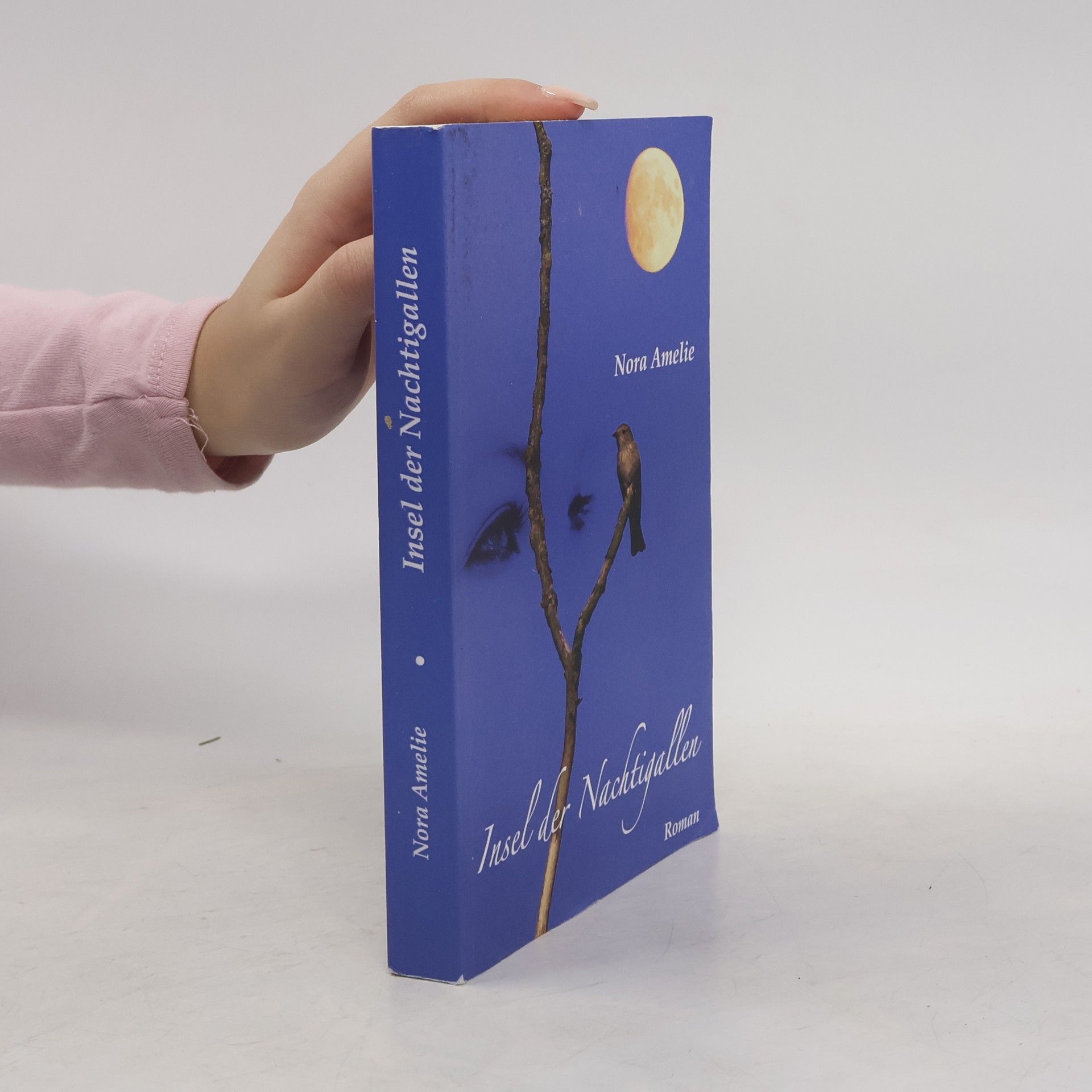 Nora Amelie Insel der Nachtigallen 1