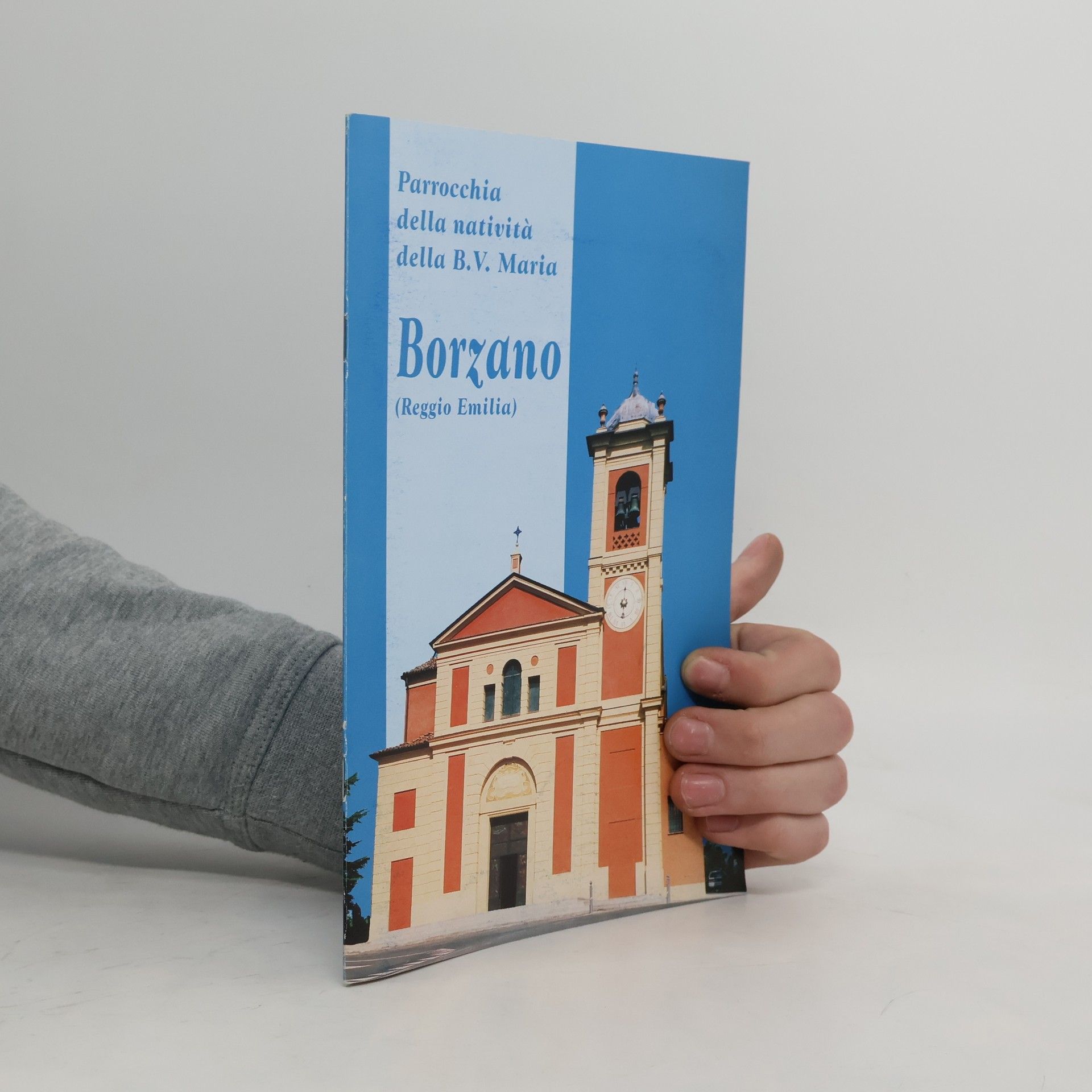 Kolektiv autorů Parrocchia della nativita della B. V. Maria. Borzano