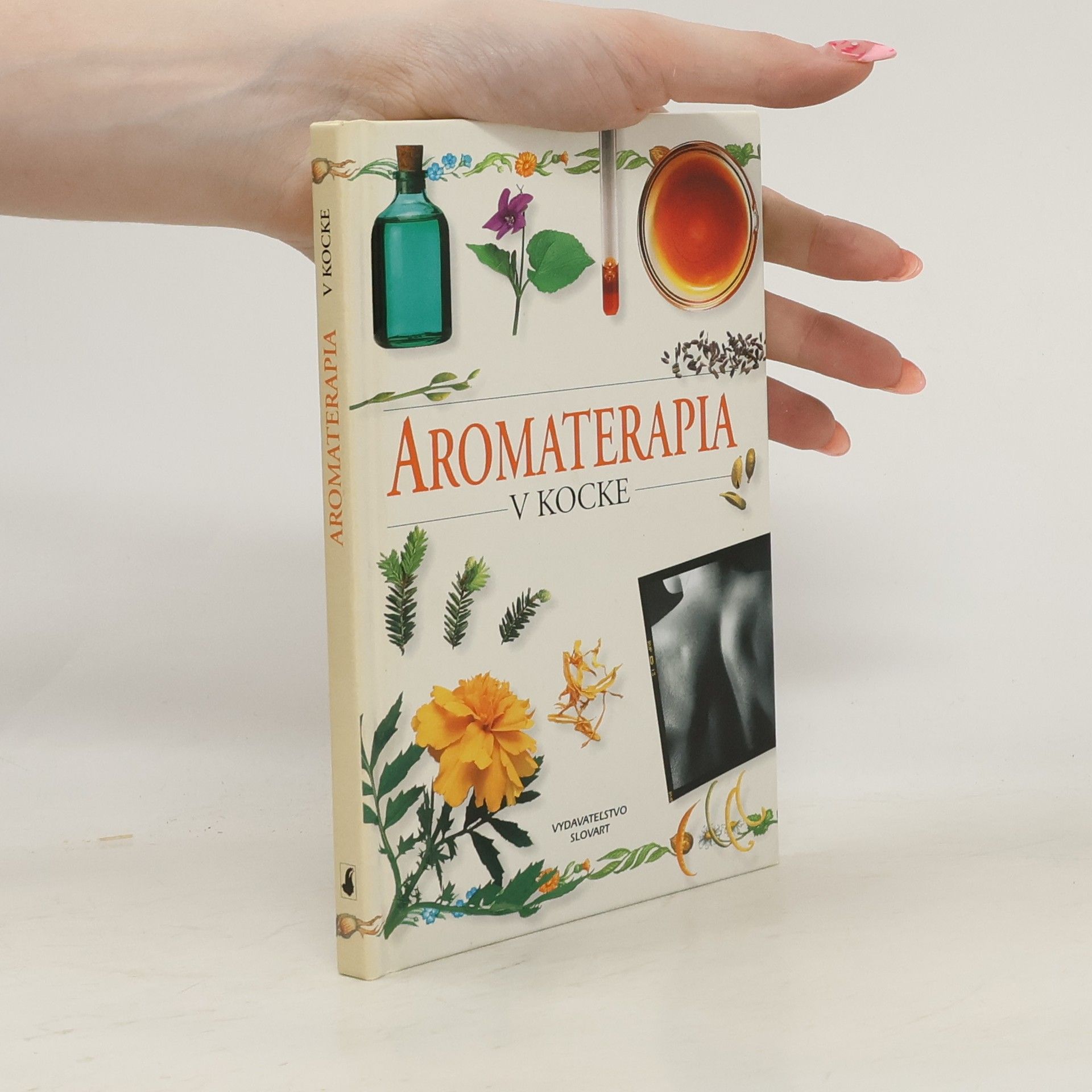 Angela Wilkes Hry v prírode. Vyše 50 podrobných návodov