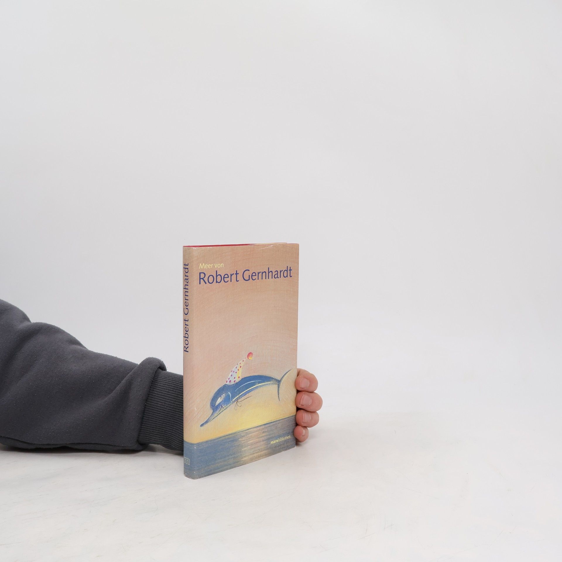 Robert Gernhardt Meer