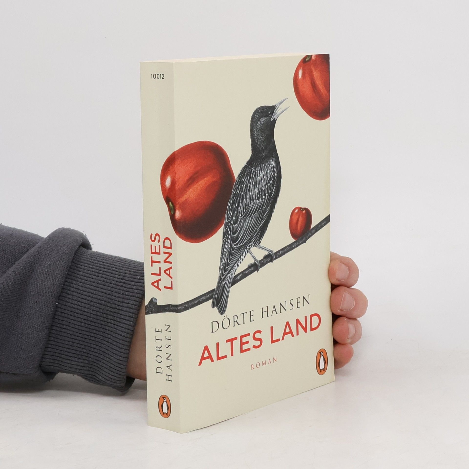 Dörte Hansen Altes Land