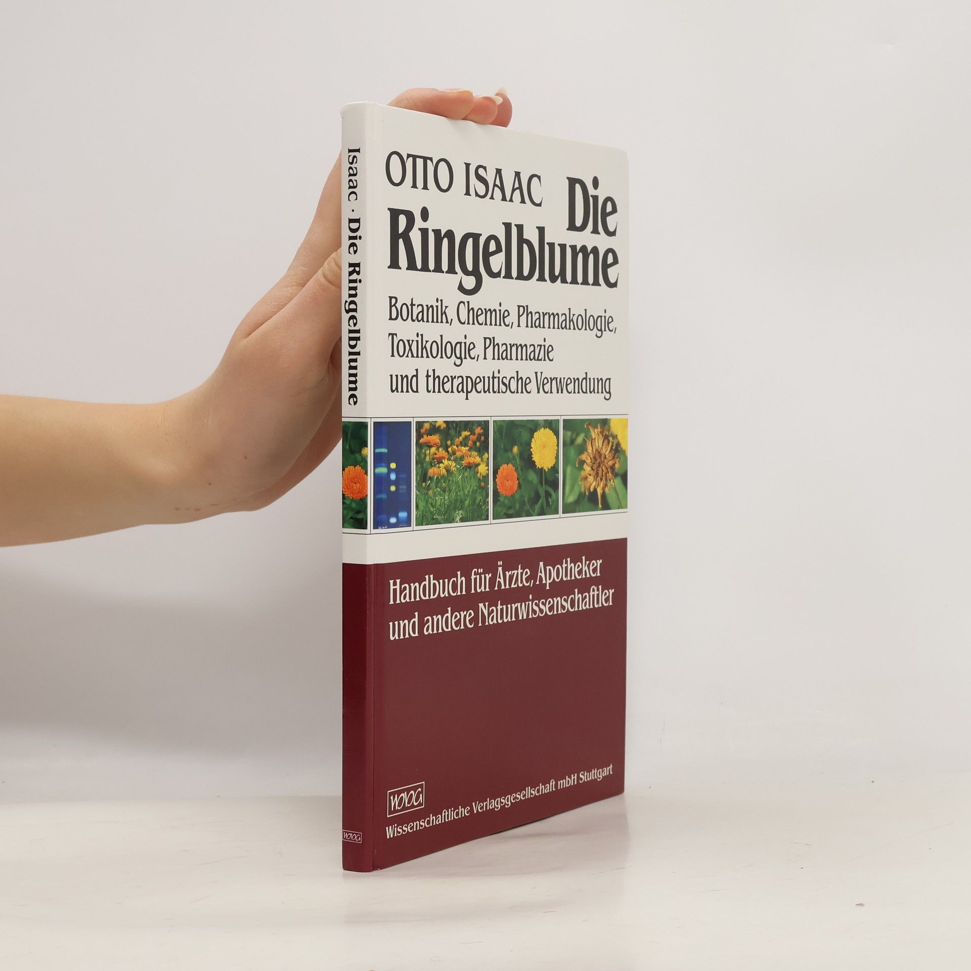 Otto Isaac Die Ringelblume