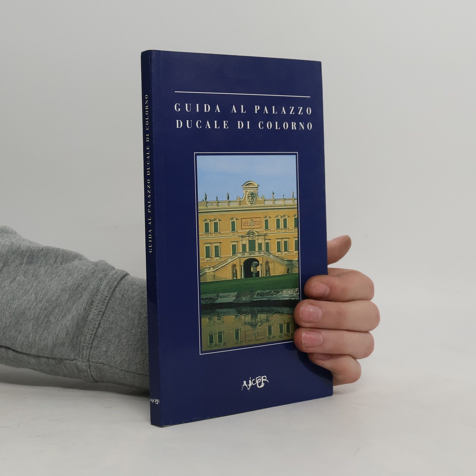 Giuseppe Bertini Guida al Palazzo Ducale di Colorno