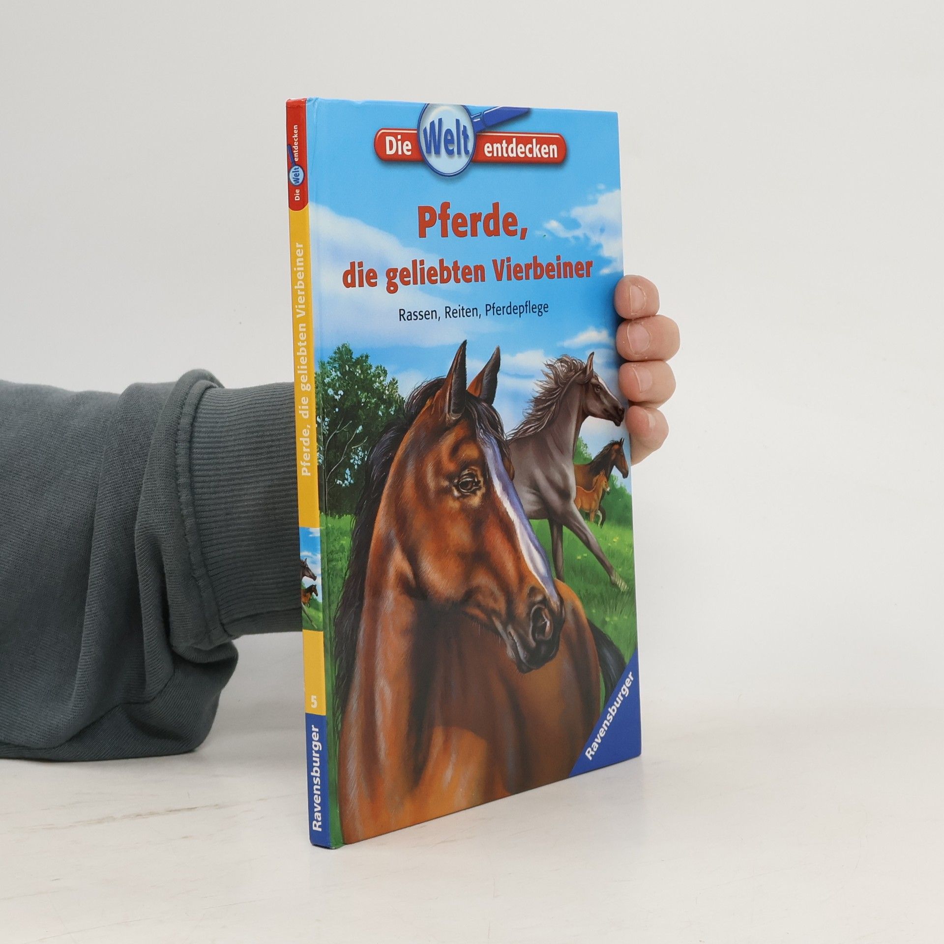 Christine Lazier Pferde, die geliebten Vierbeiner