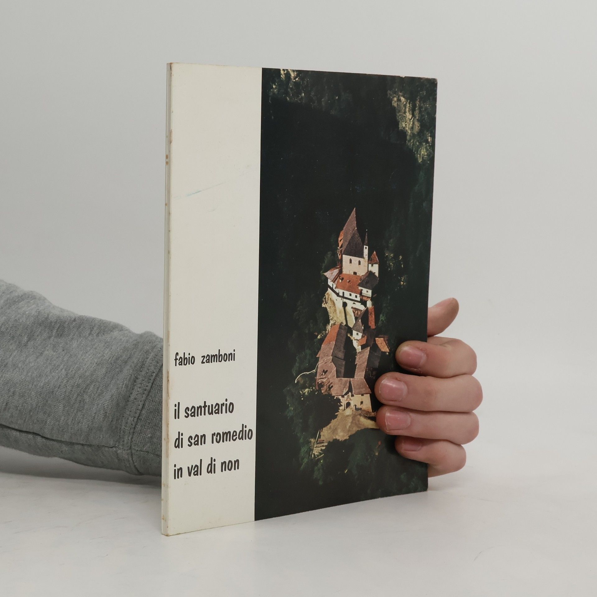 Fabio Zamboni Il Santuario di San Romedio in Val di Non