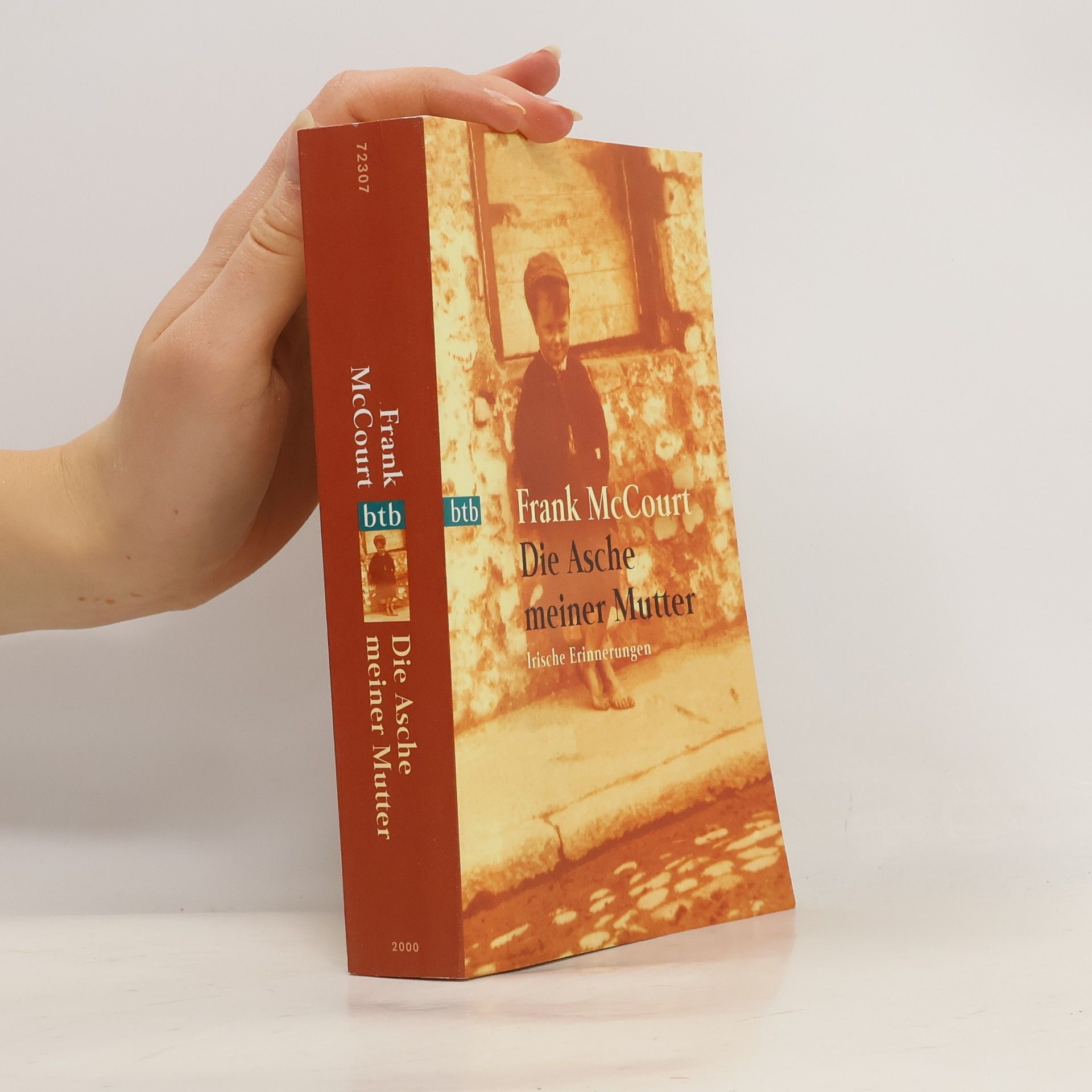 Frank McCourt Die Asche meiner Mutter