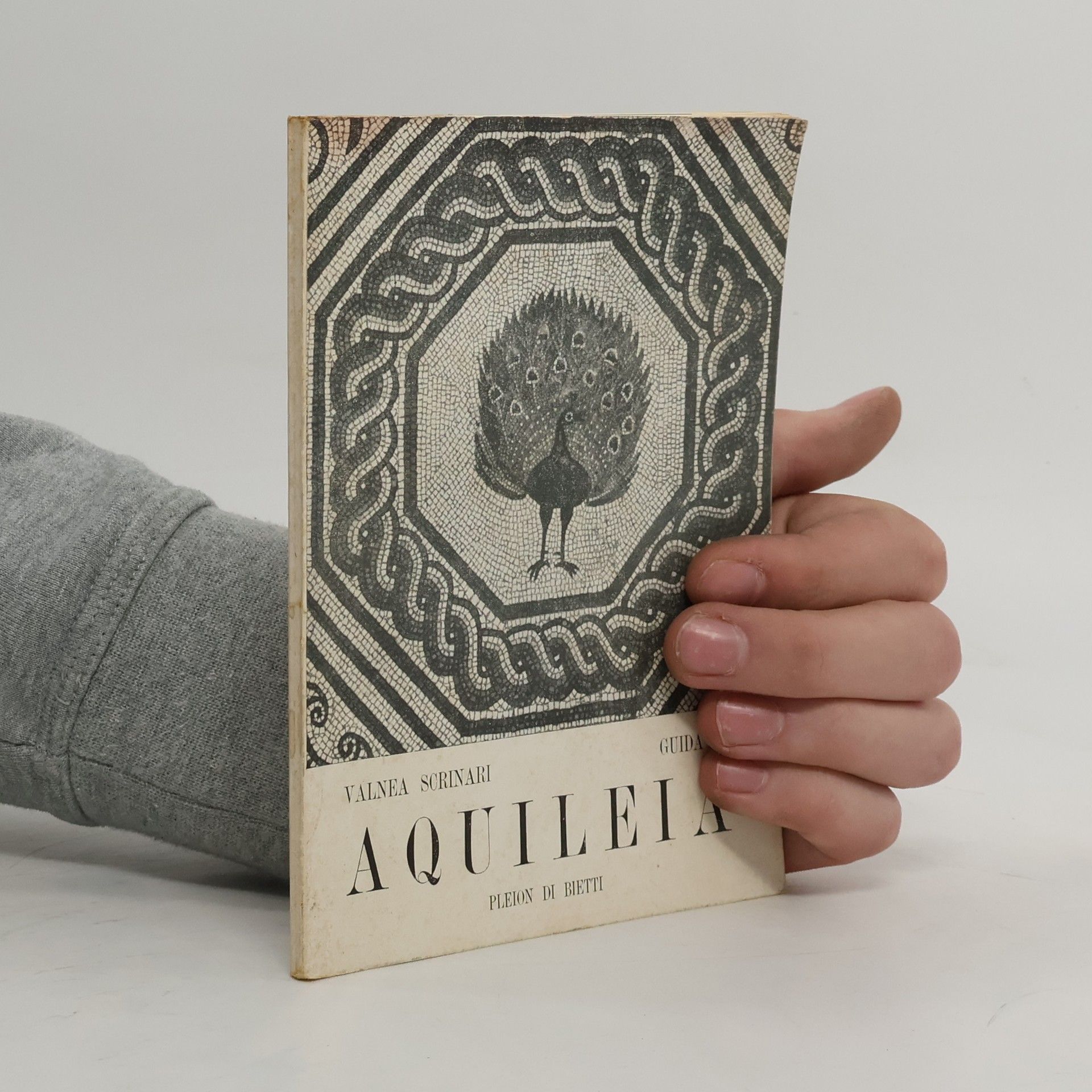 Valnea Scrinari Aquileia