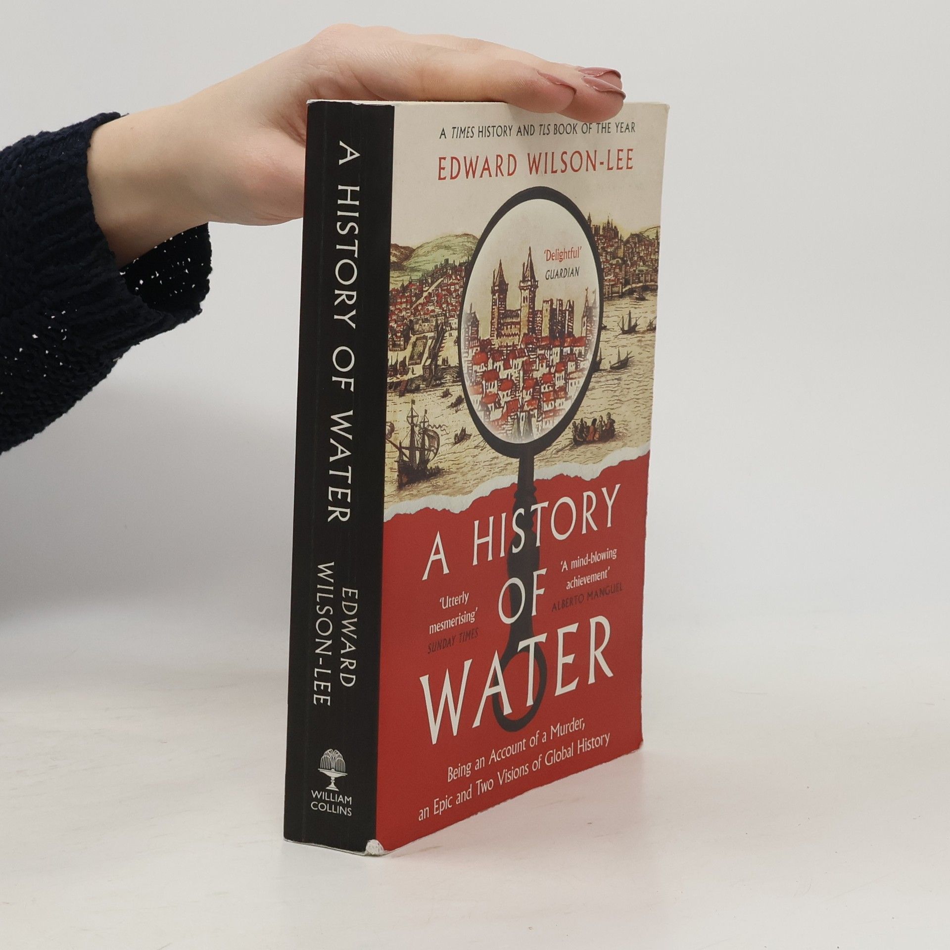 Lee Wilson A History of Water