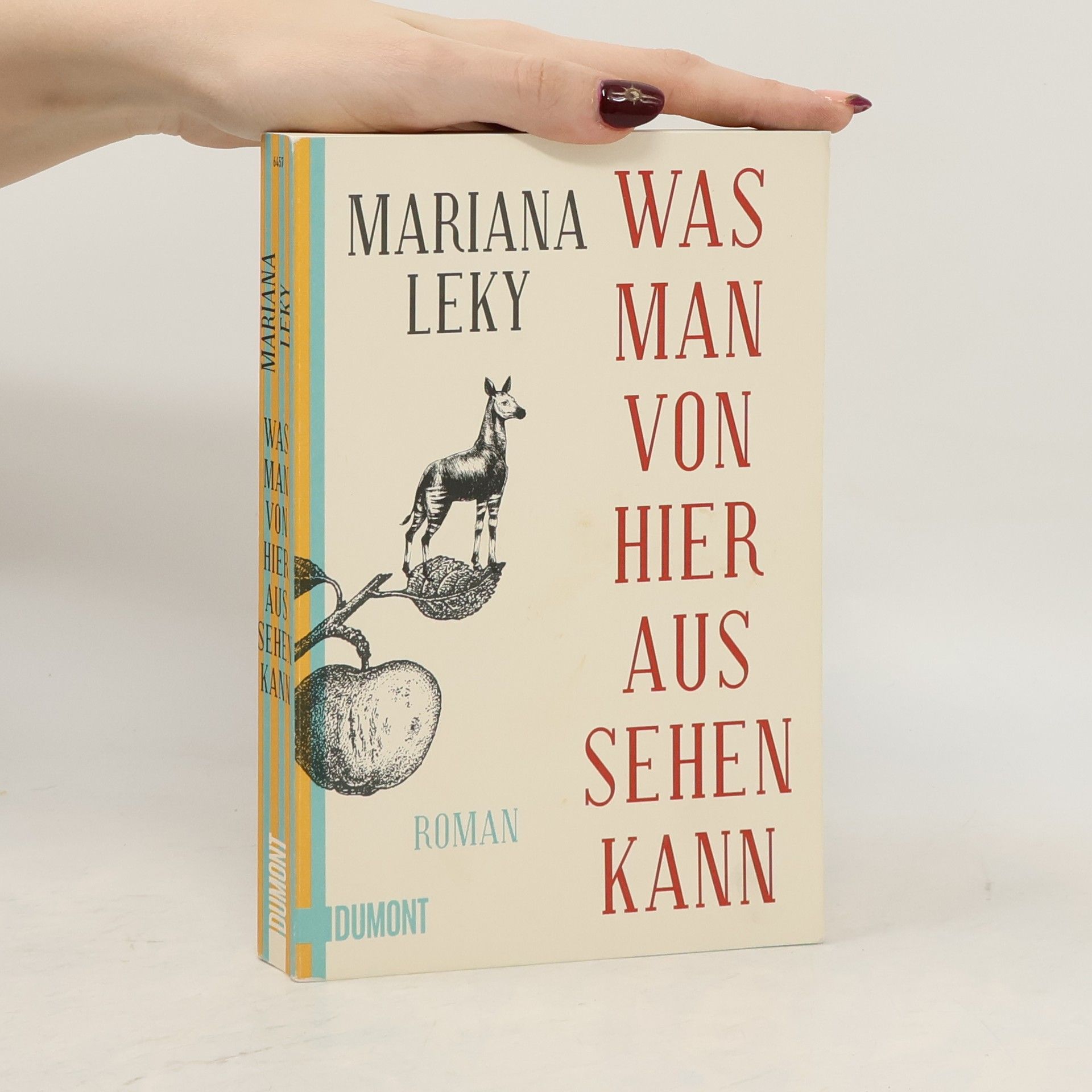 Mariana Leky Was man von hier aus sehen kann