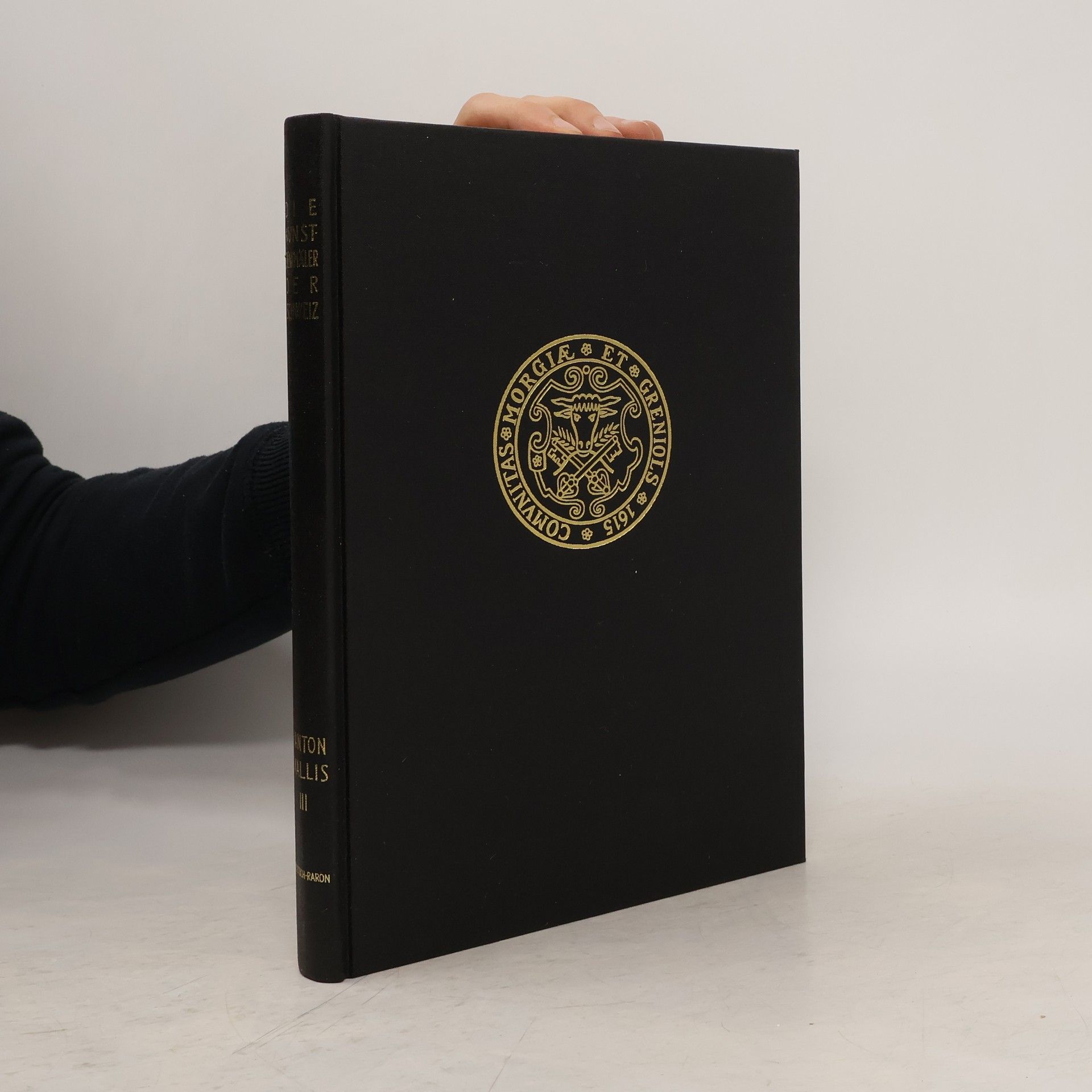 Walter Ruppen Der Bezirk Östlich-Raron