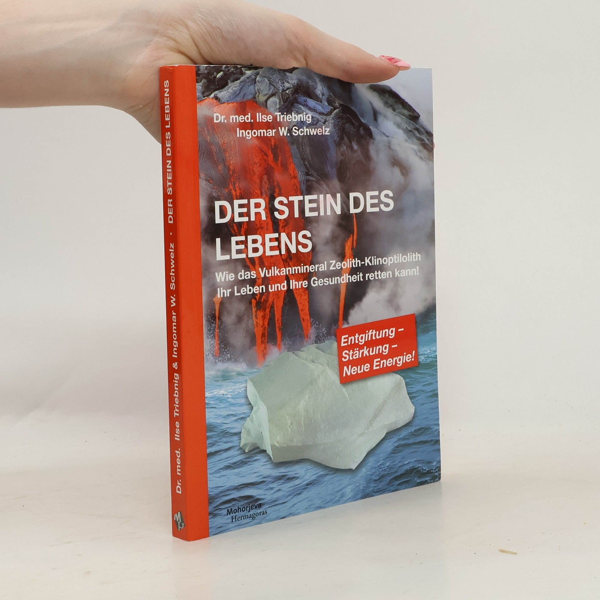 Ilse Triebnig Der Stein des Lebens