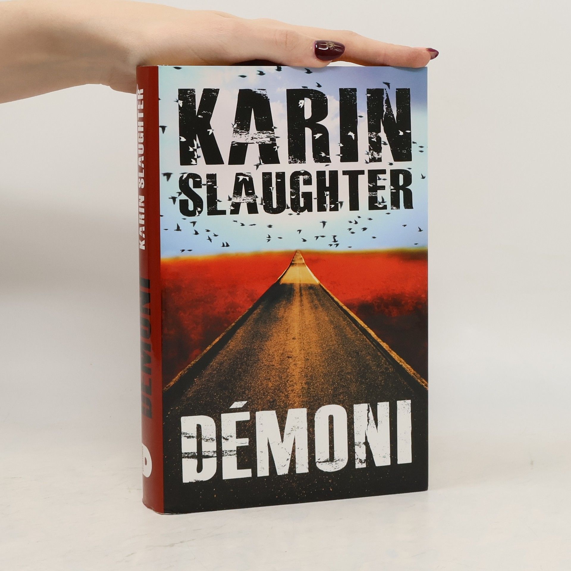 Karin Slaughter Démoni
