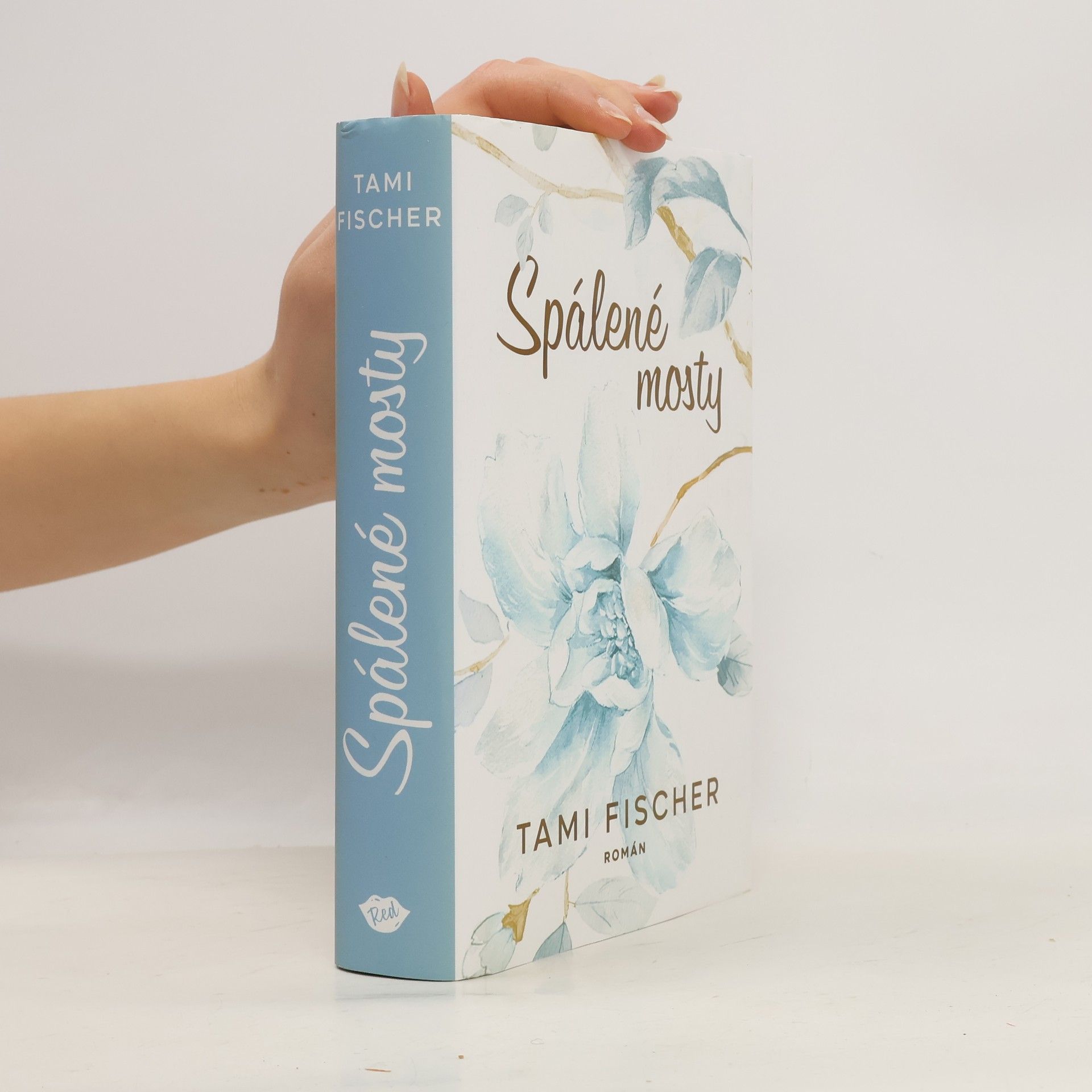 Tami Fischer Spálené mosty