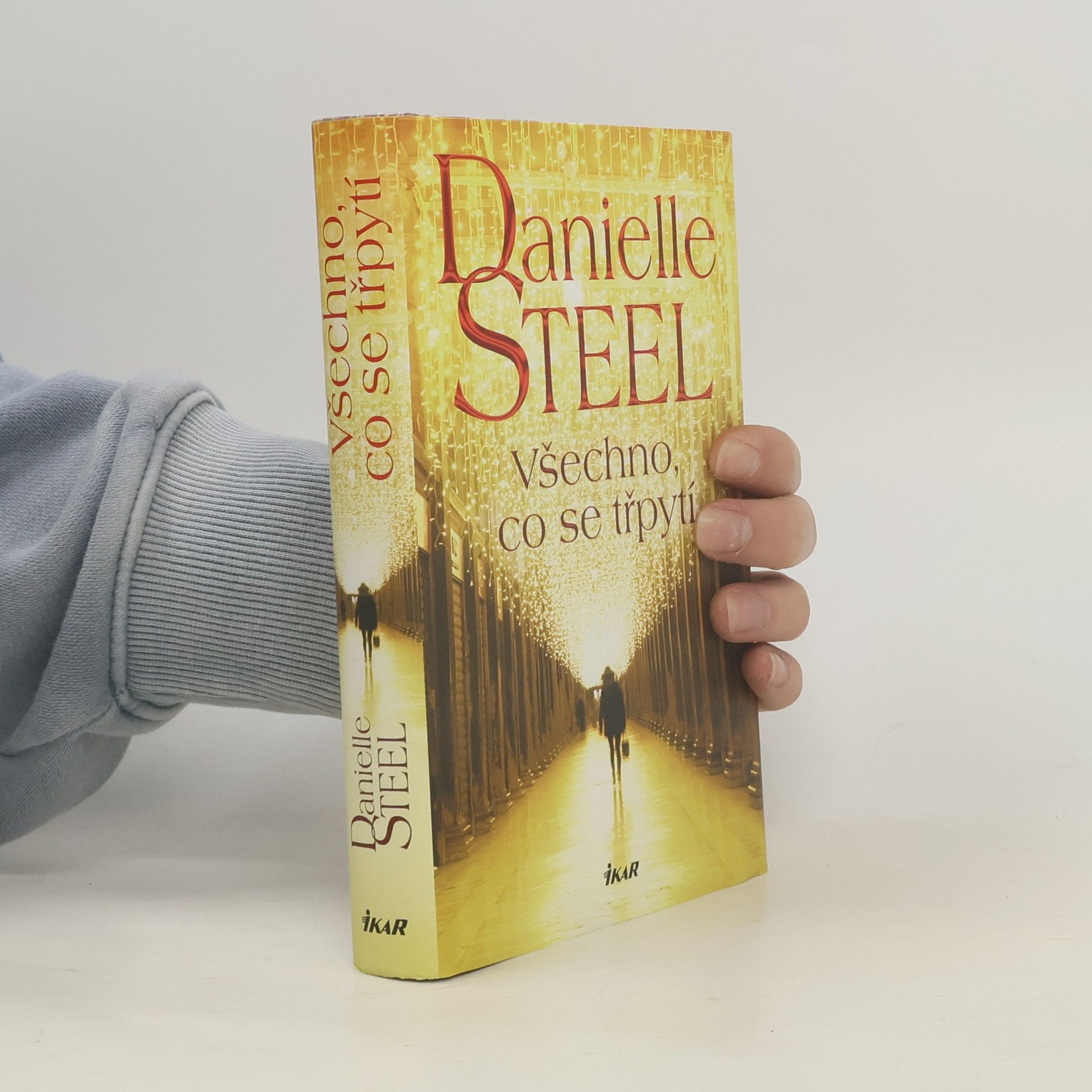 Danielle Steel Všechno, co se třpytí