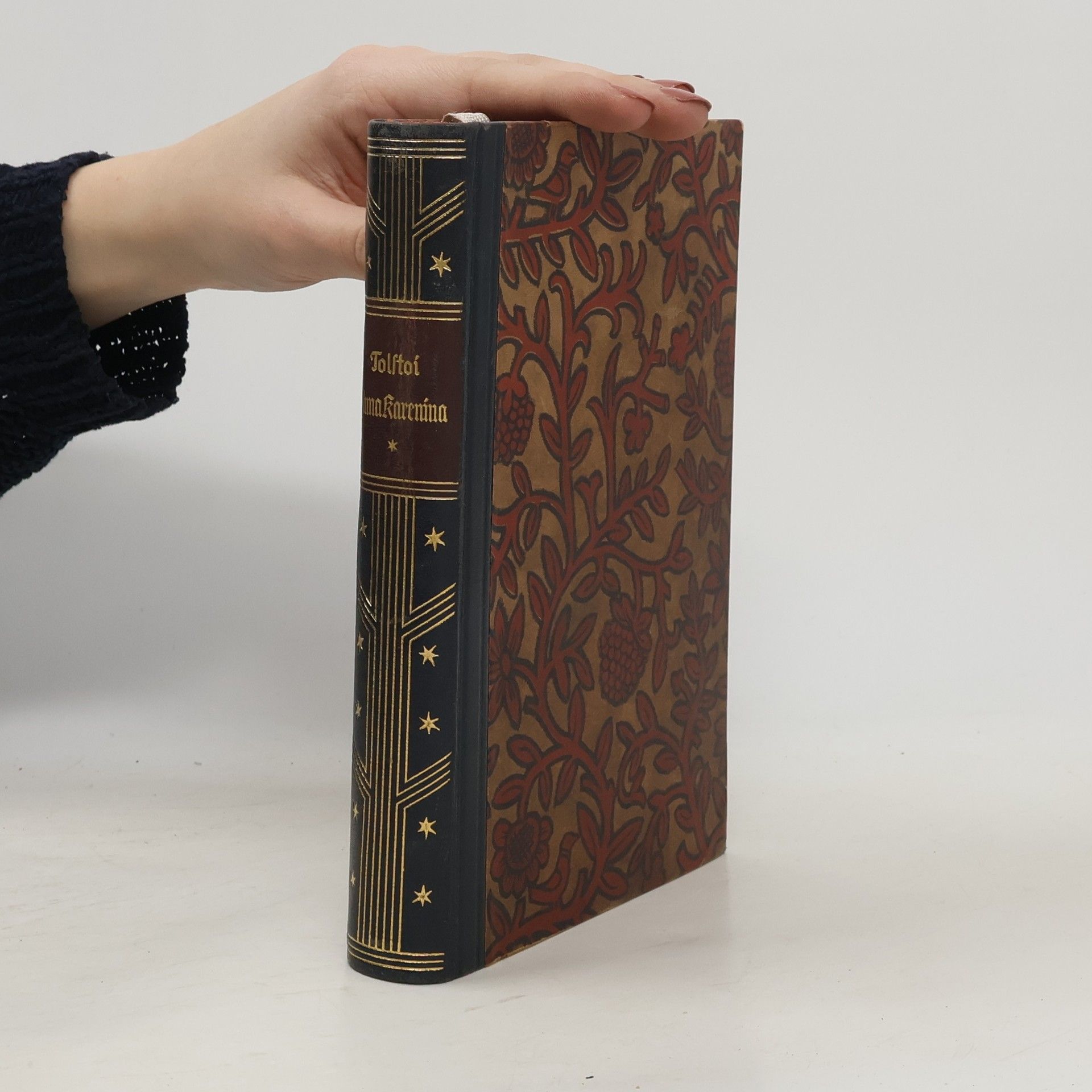 Lew Nikolajewitsch Tolstoi Anna Karenina I.