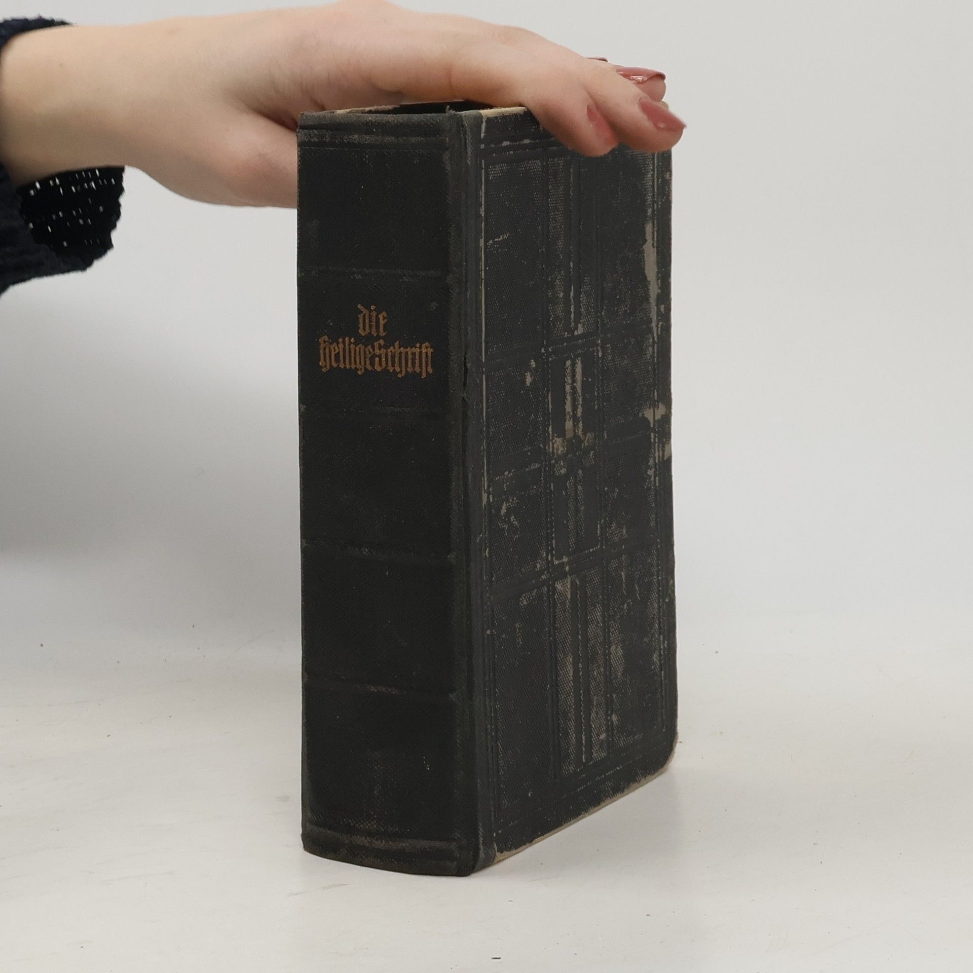 Autorenkollektiv Die Bibel oder die ganze Heilige Schrift des Alten u. Neuen Testaments