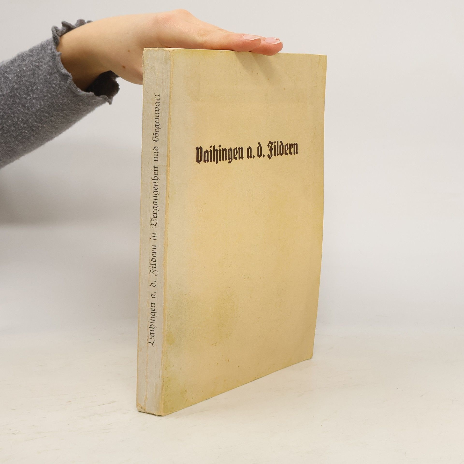 E. Schmid Vaihingen a. d. Fildern in Vergangenheit und Gegenwart