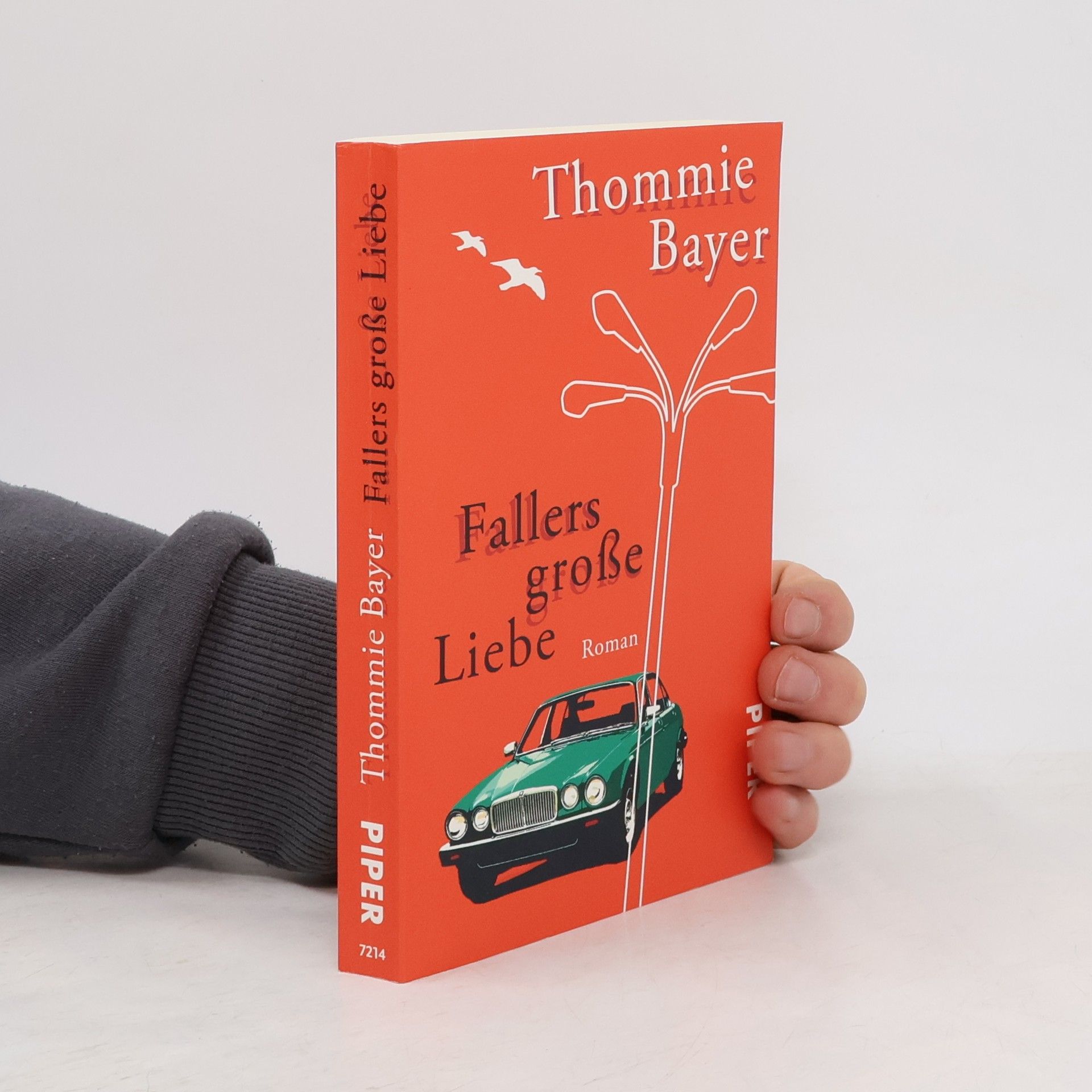 Thommie Bayer Fallers grosse Liebe