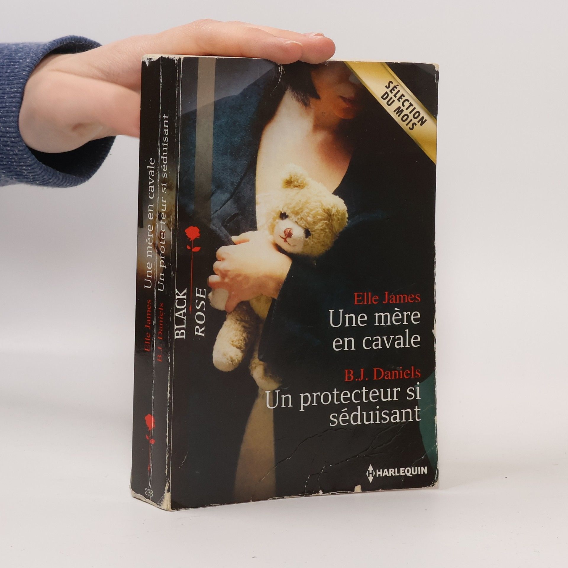 Une mère en cavale. Un protecteur si séduisant